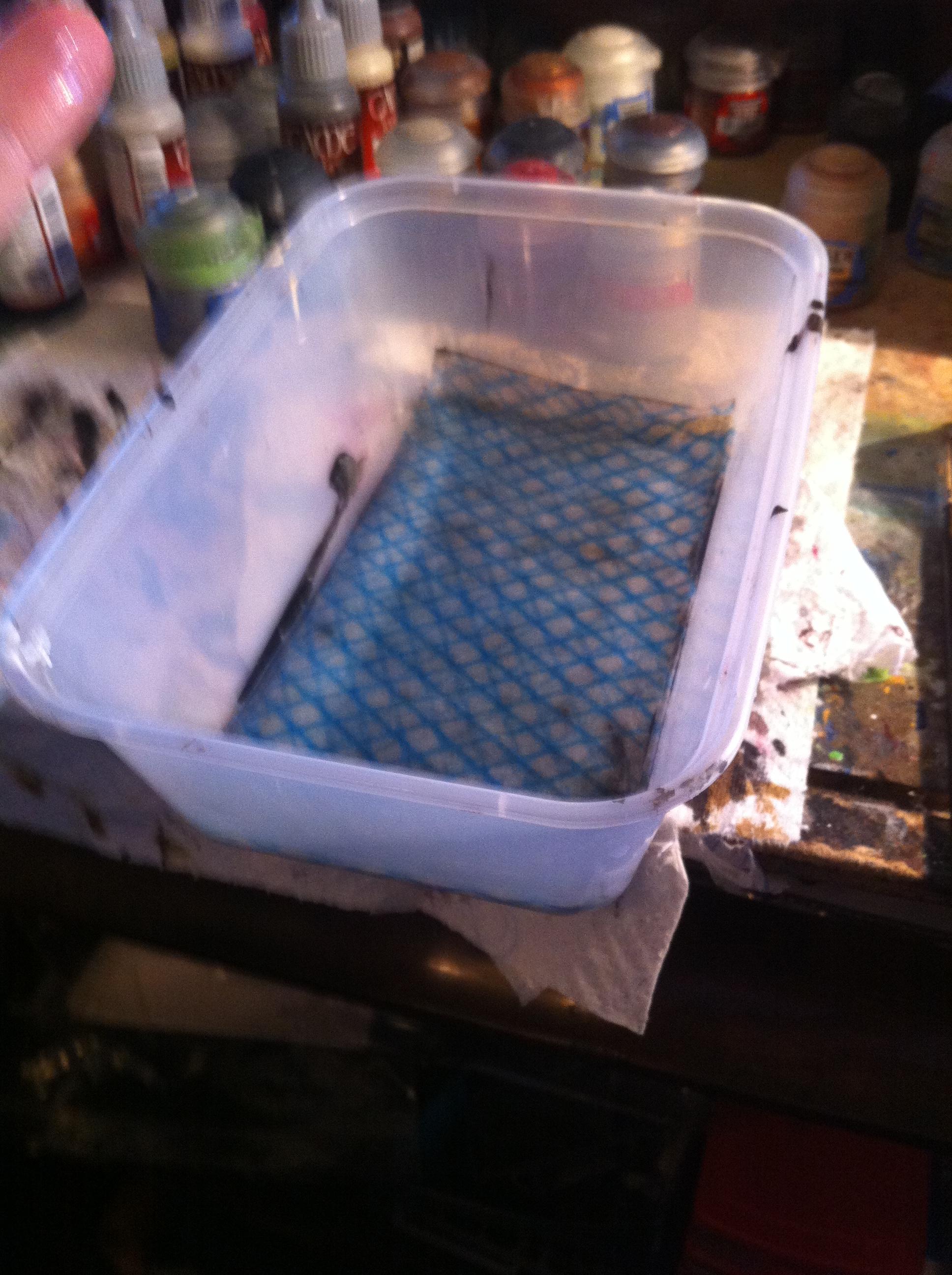 sheets in tray and add water, pouring away excess