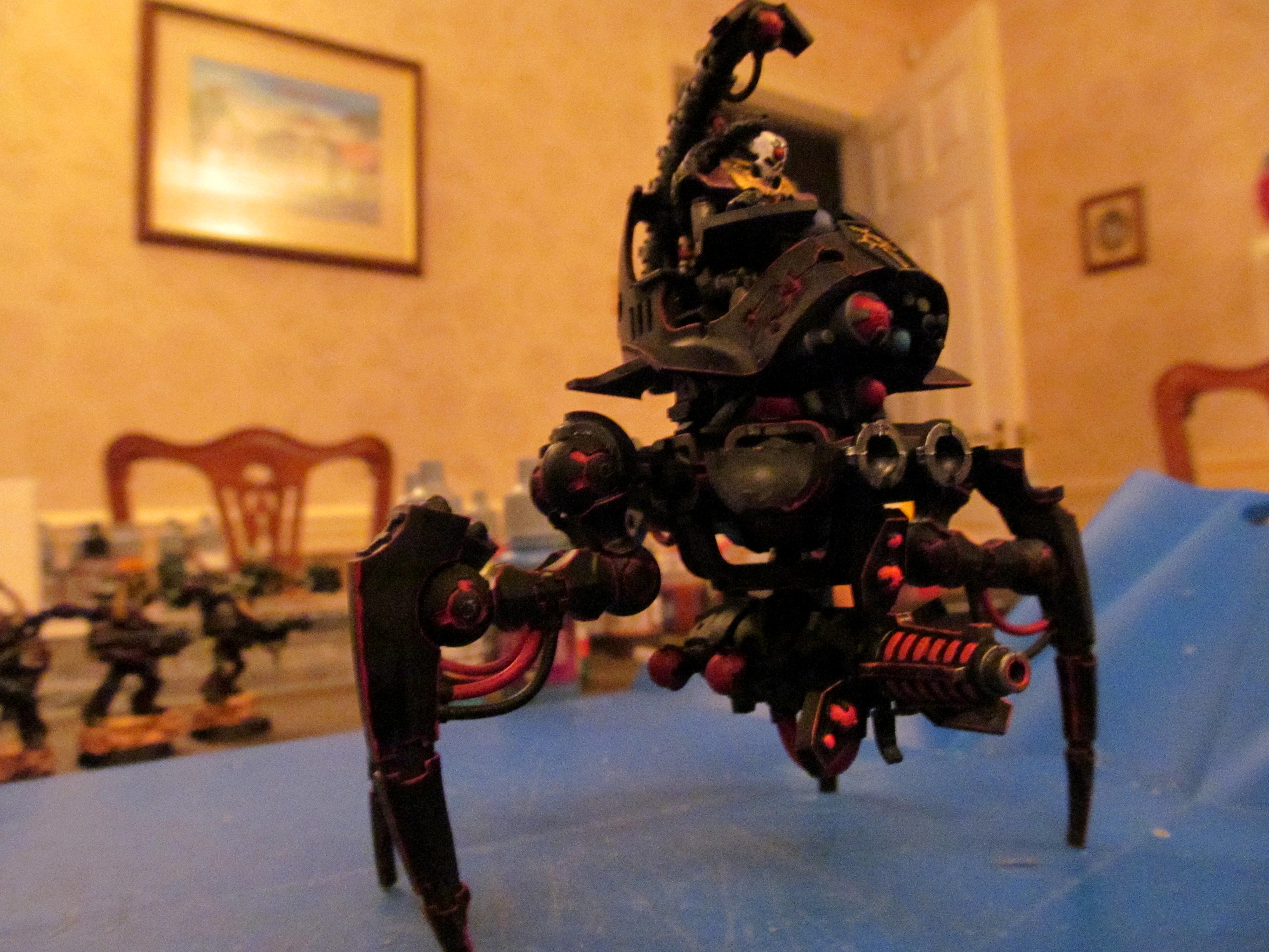 All but front legs and mandibles (side view)