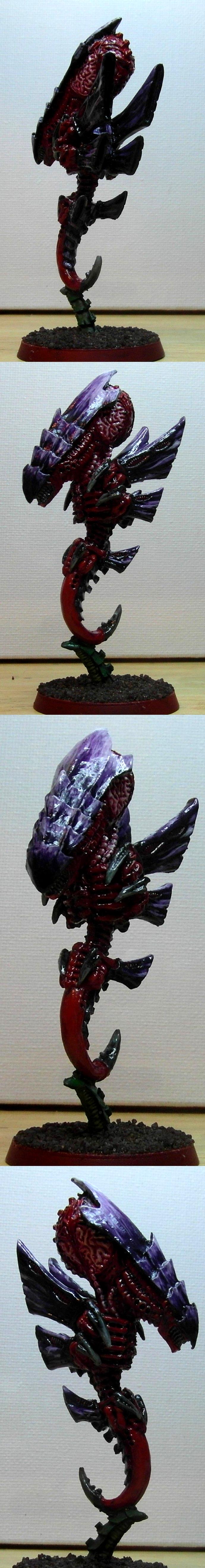 Tyranids, Warhammer 40,000, Zoanthrope