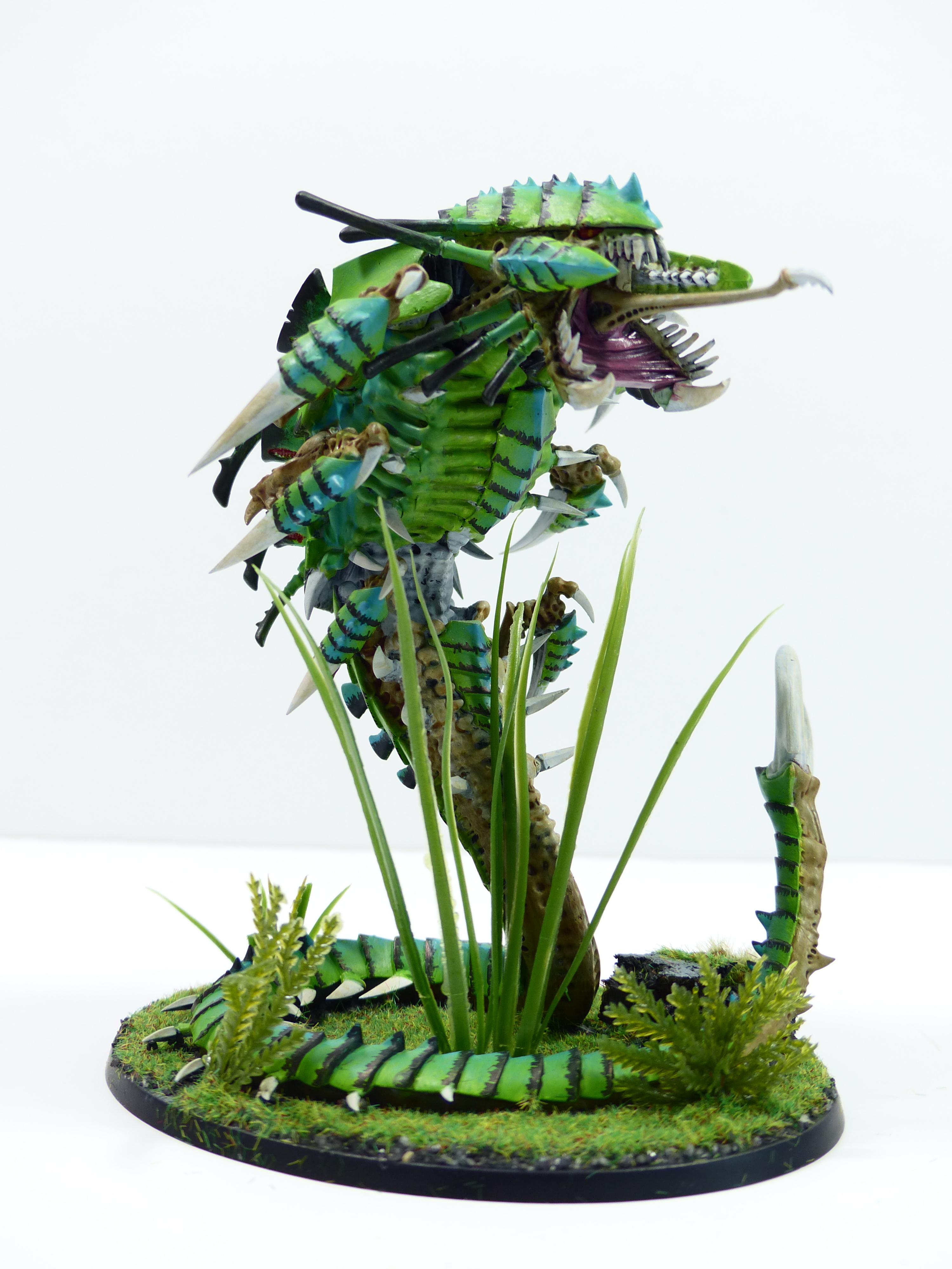 Jungle, Mawloc, Tyranids