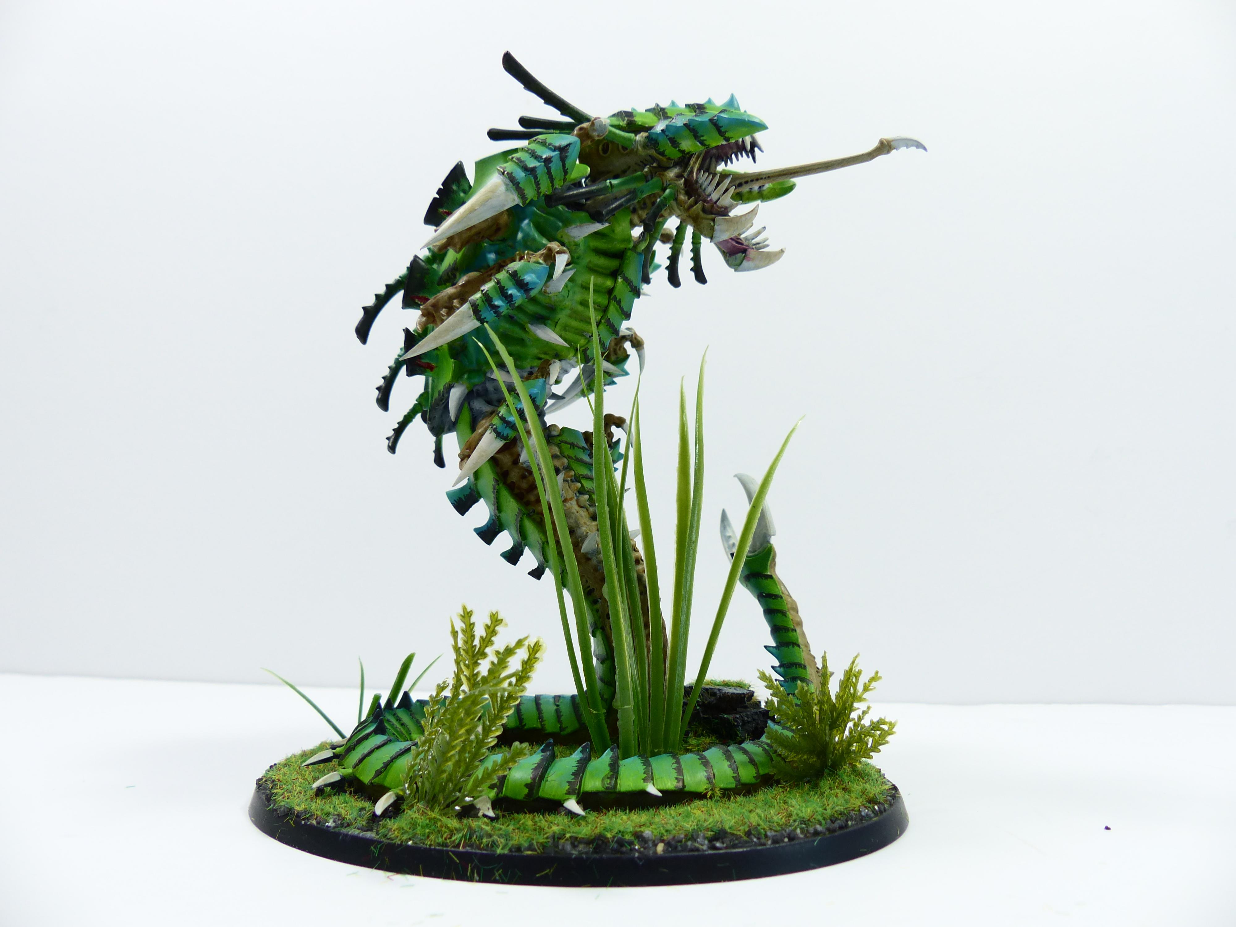 Jungle, Mawloc, Tyranids
