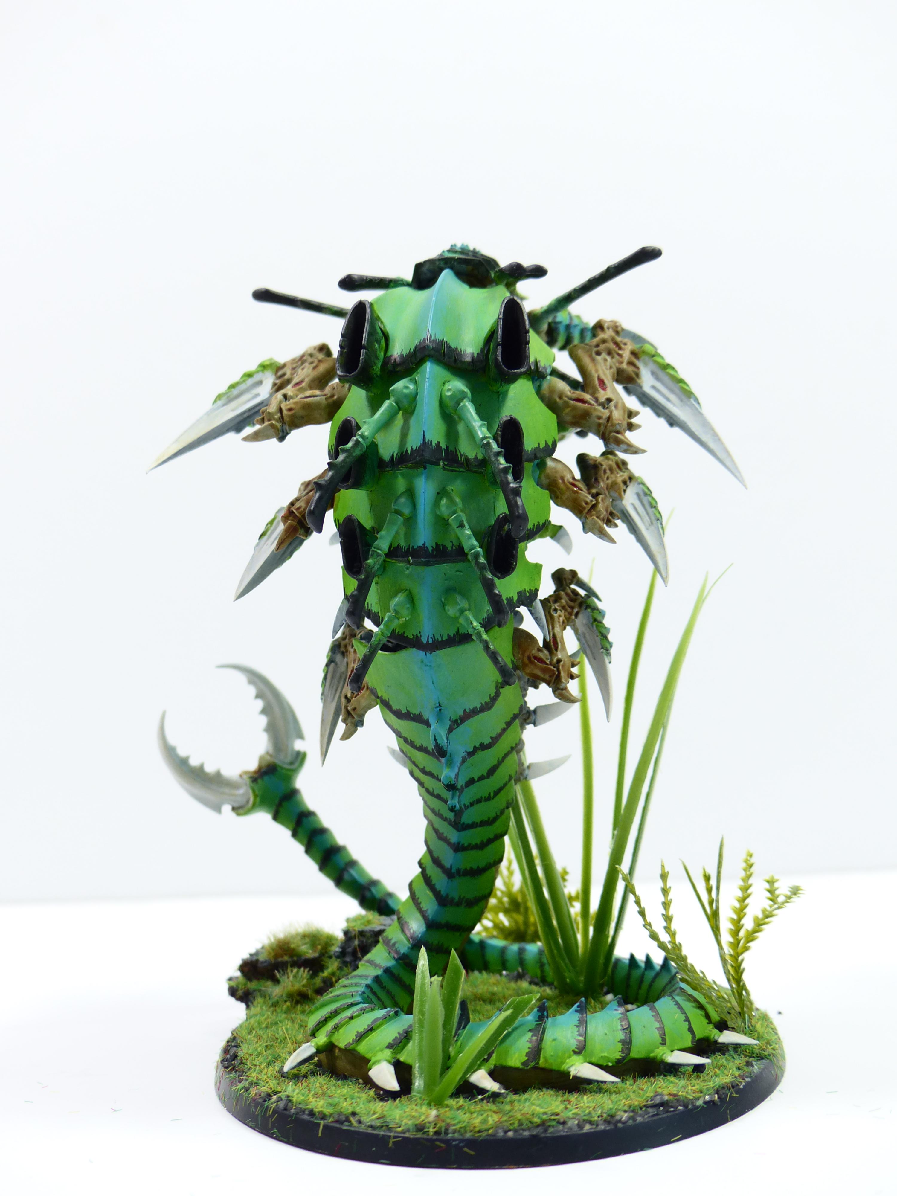 Jungle, Mawloc, Tyranids
