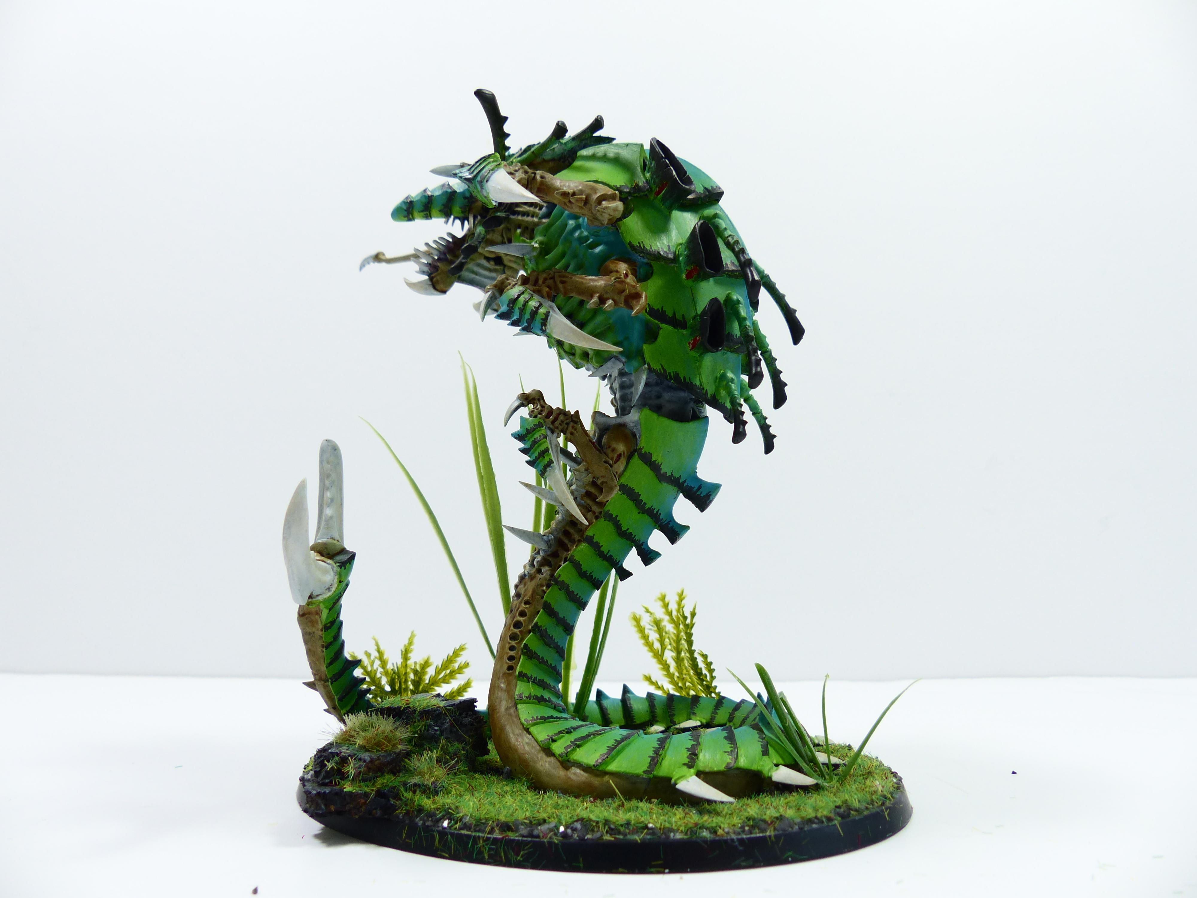 Jungle, Mawloc, Tyranids