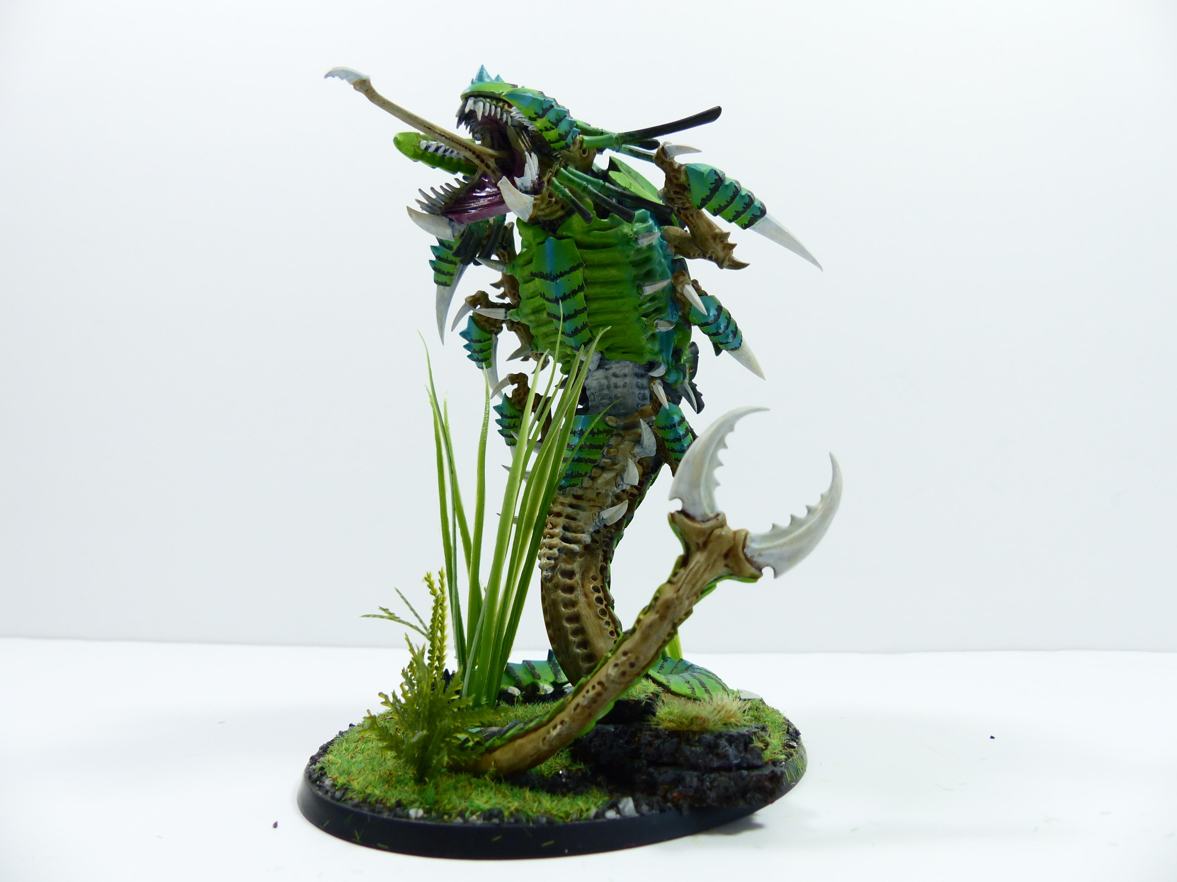 Jungle, Mawloc, Tyranids