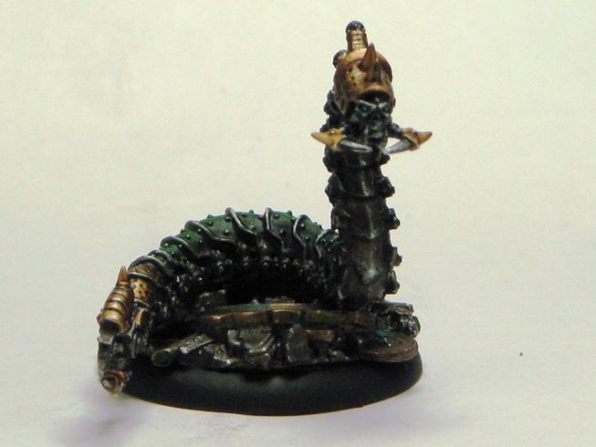 Cankerworm