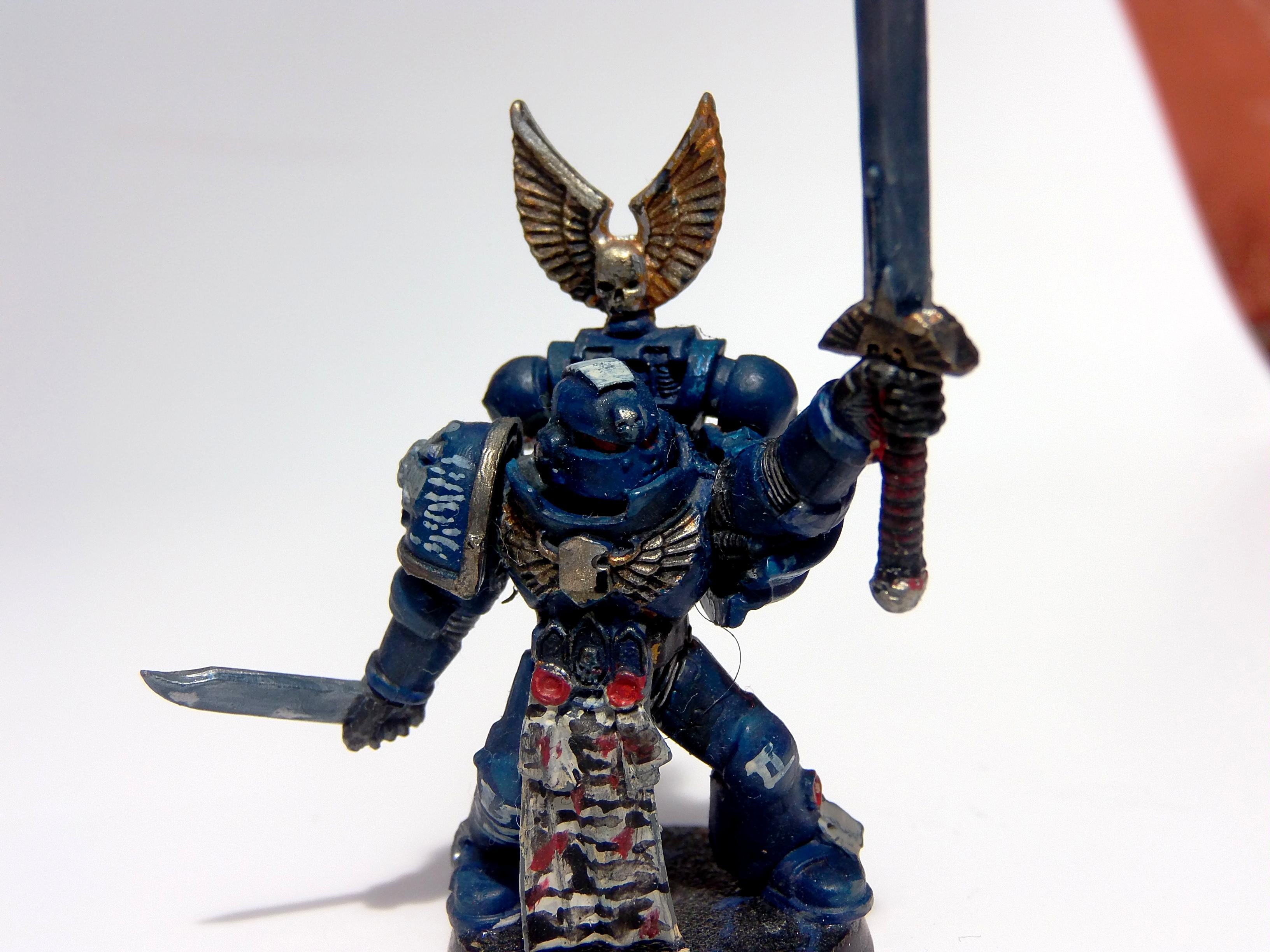 Company Champion