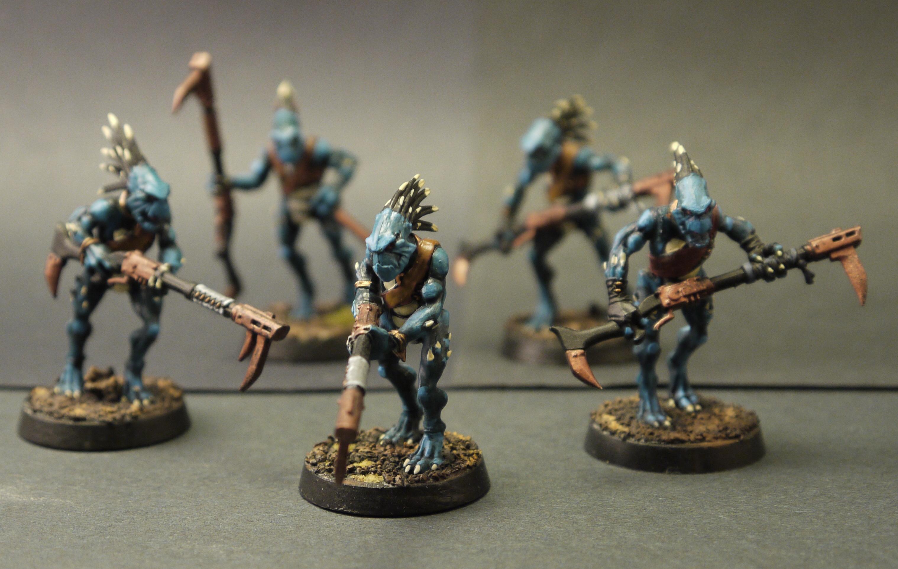 Tau, Kroot