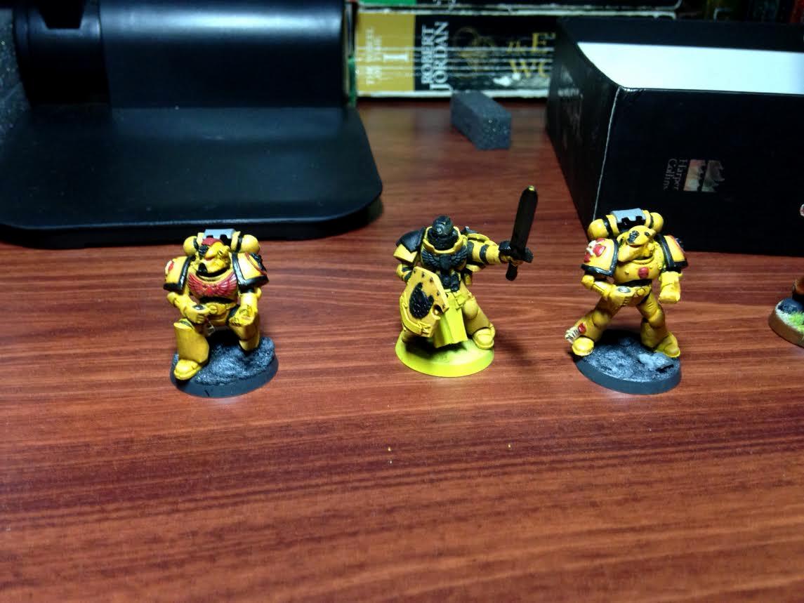 Company champion - colour help needed