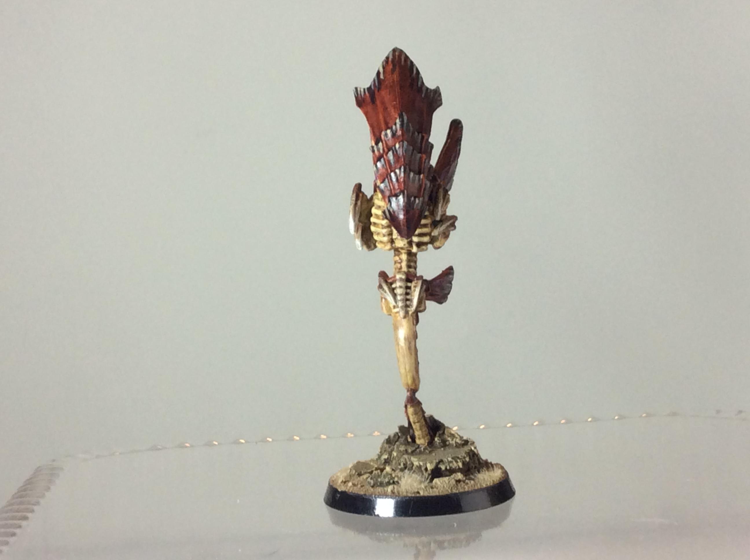 Nids, Tyranids, Zoanthrope, Zoey