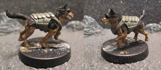 Attack Dog, Canine, Dog, K-9, Stim Hound