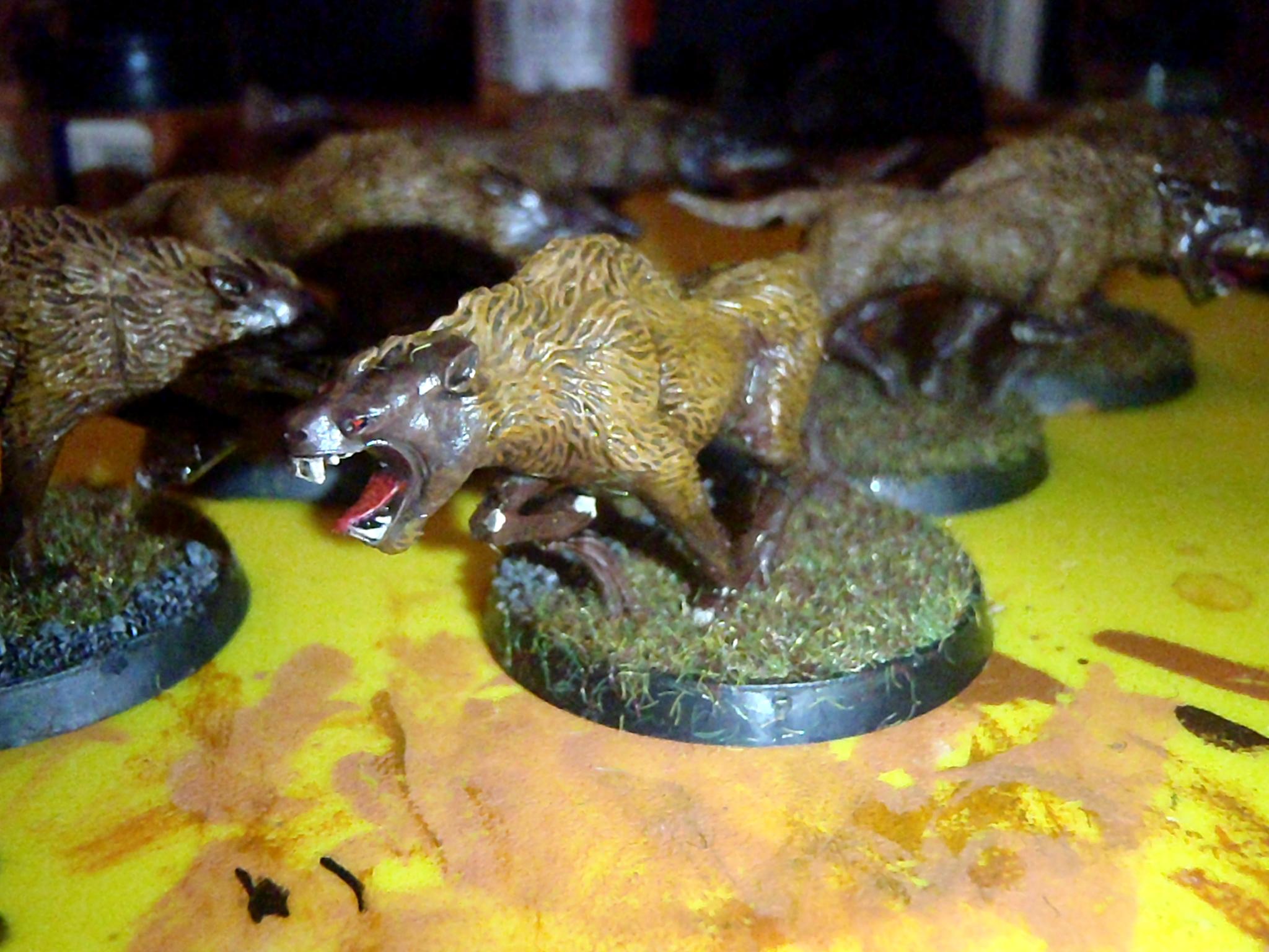 Lord Of The Rings, Moira, Wardog, Warg, Wargs, Warhound, Wolf, Wolves