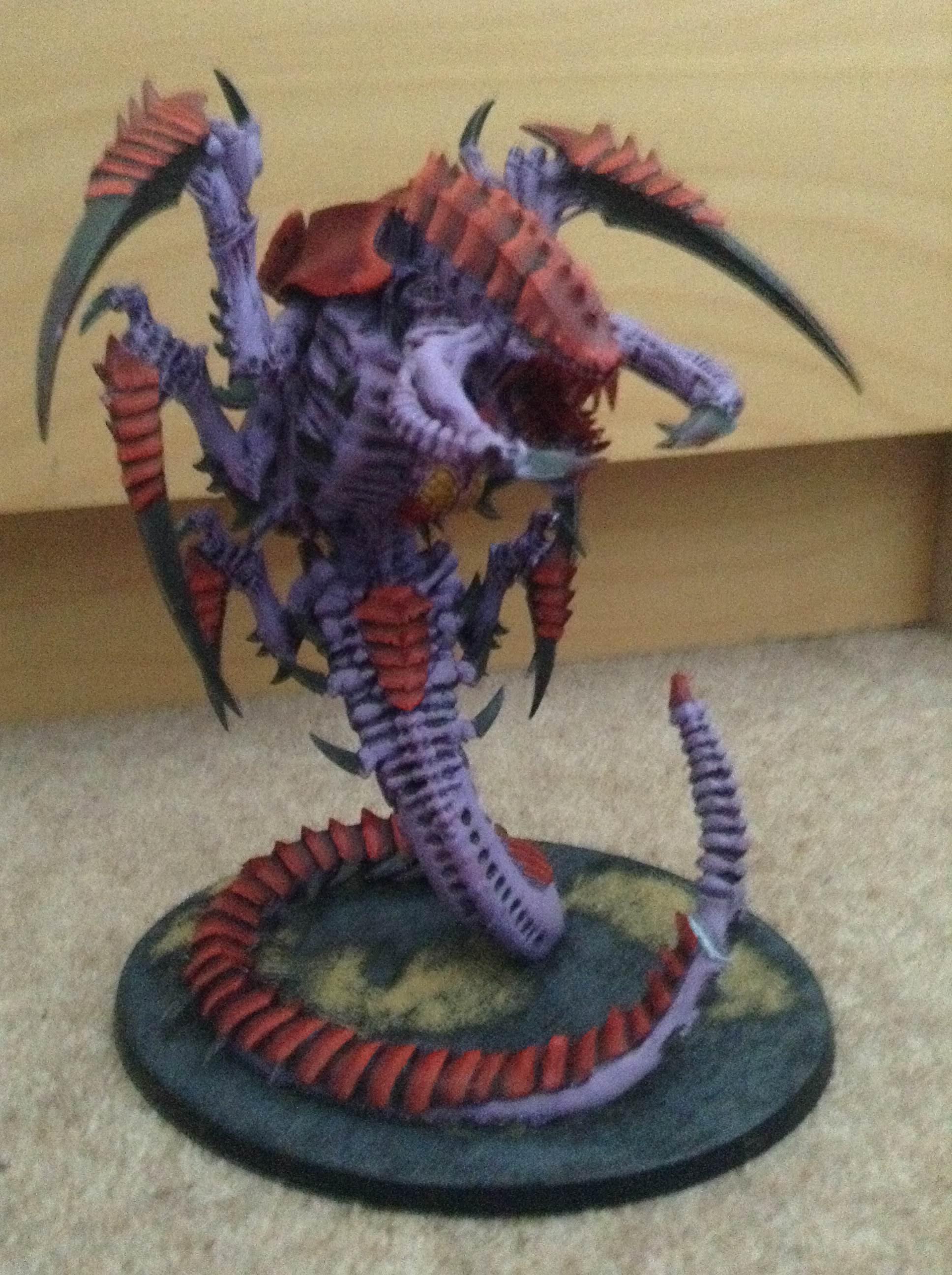 Full trygon picture