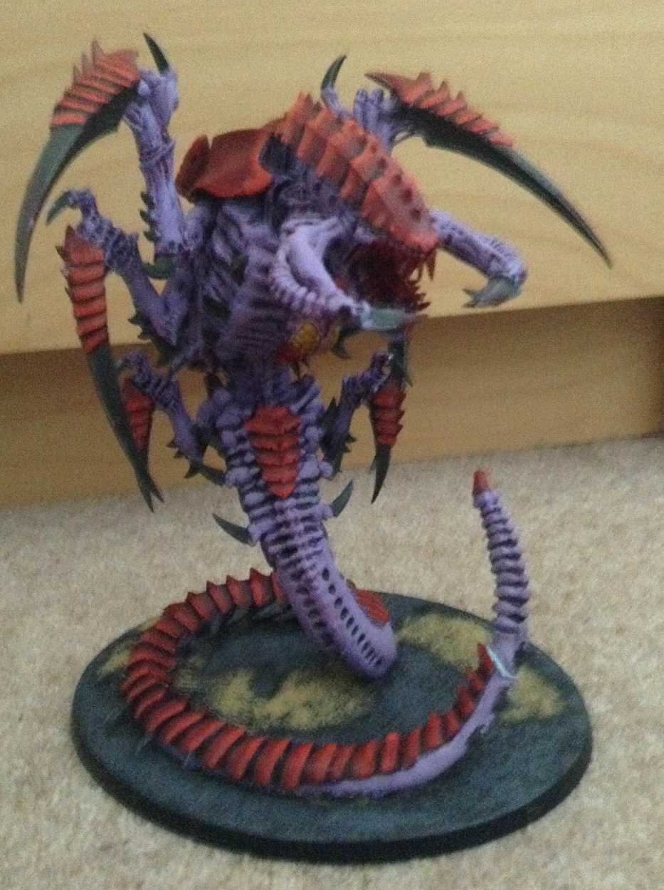 full trygon view