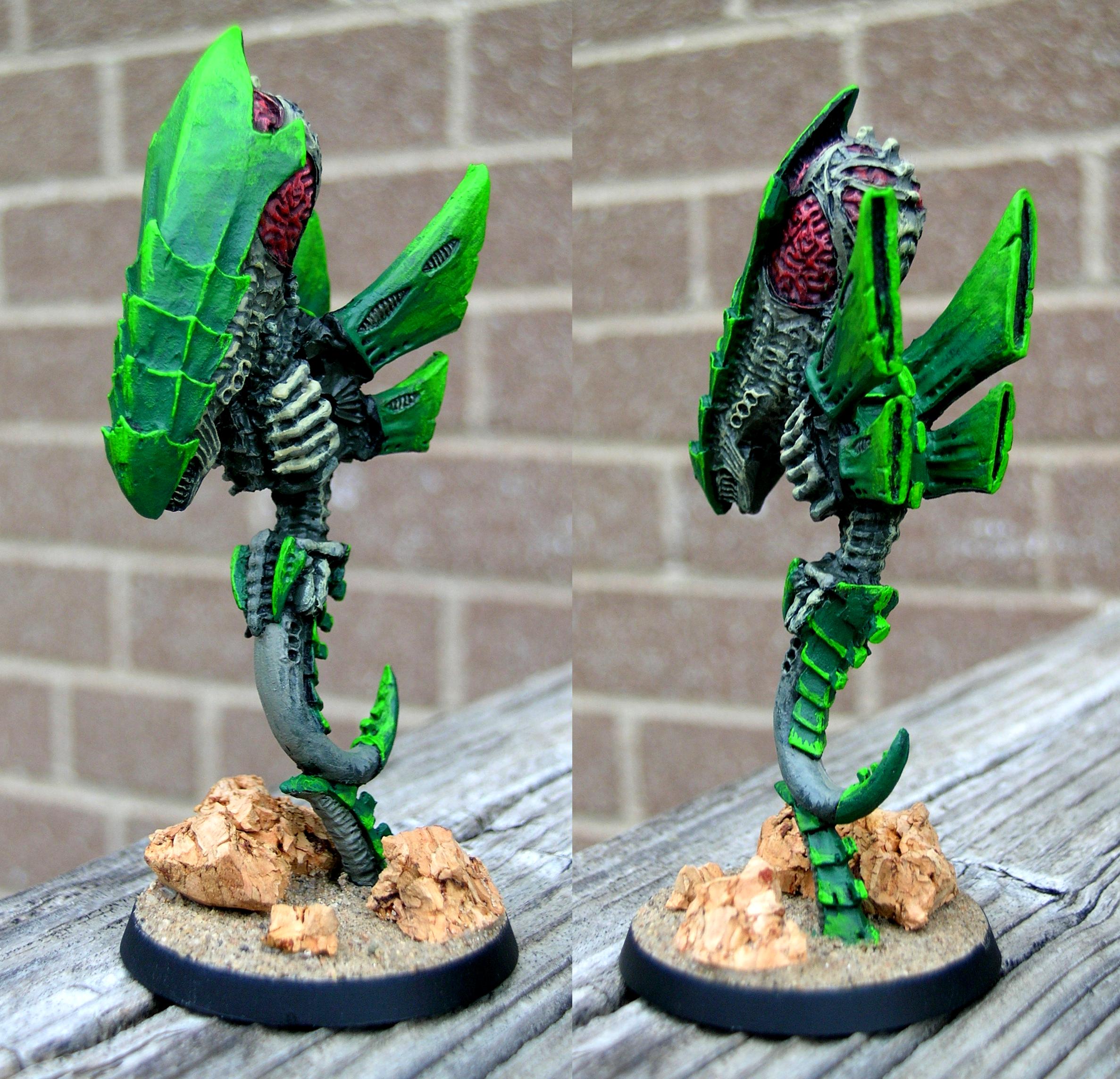 Zoanthrope, WIP Thrope