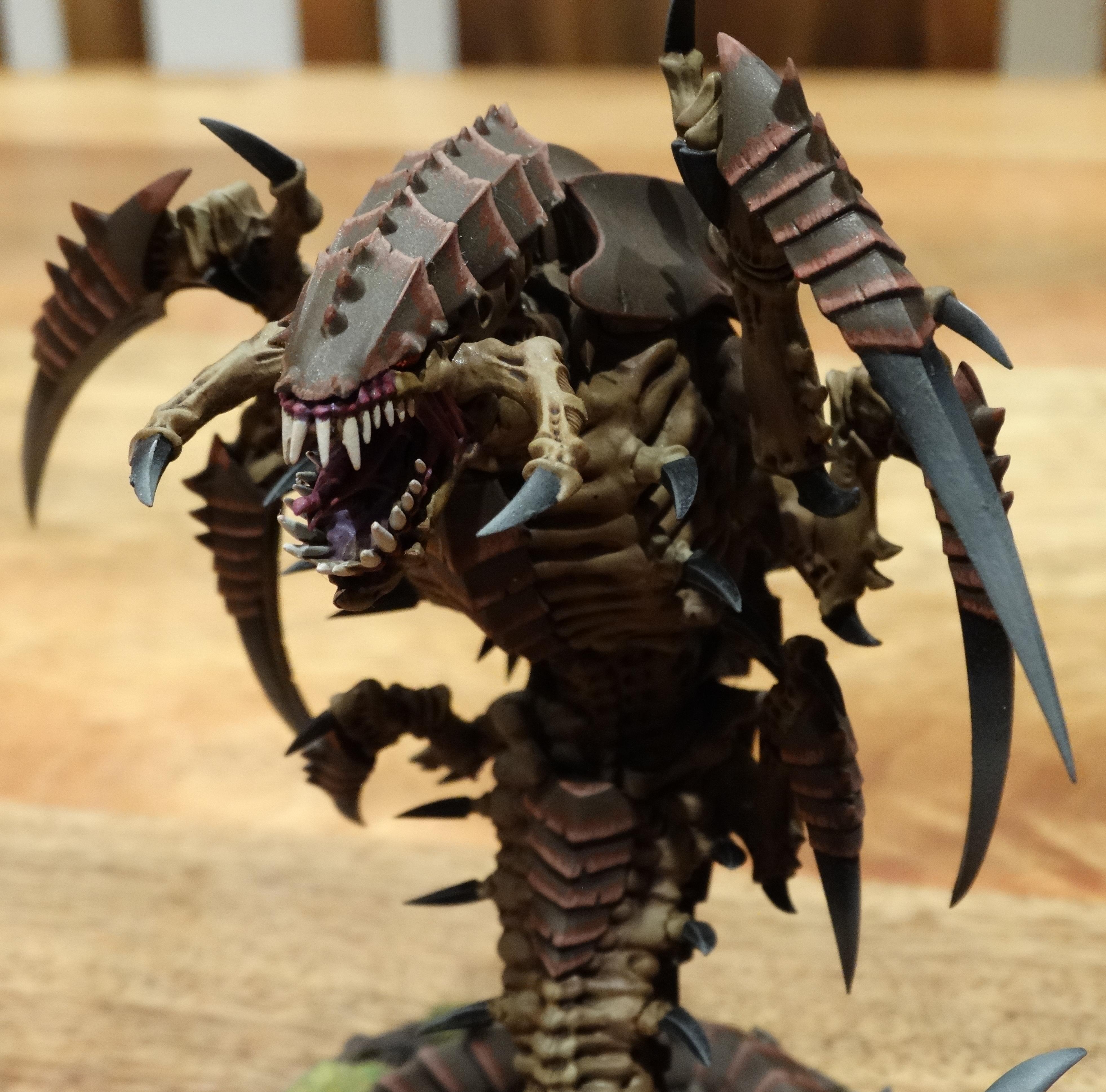 The Trygon