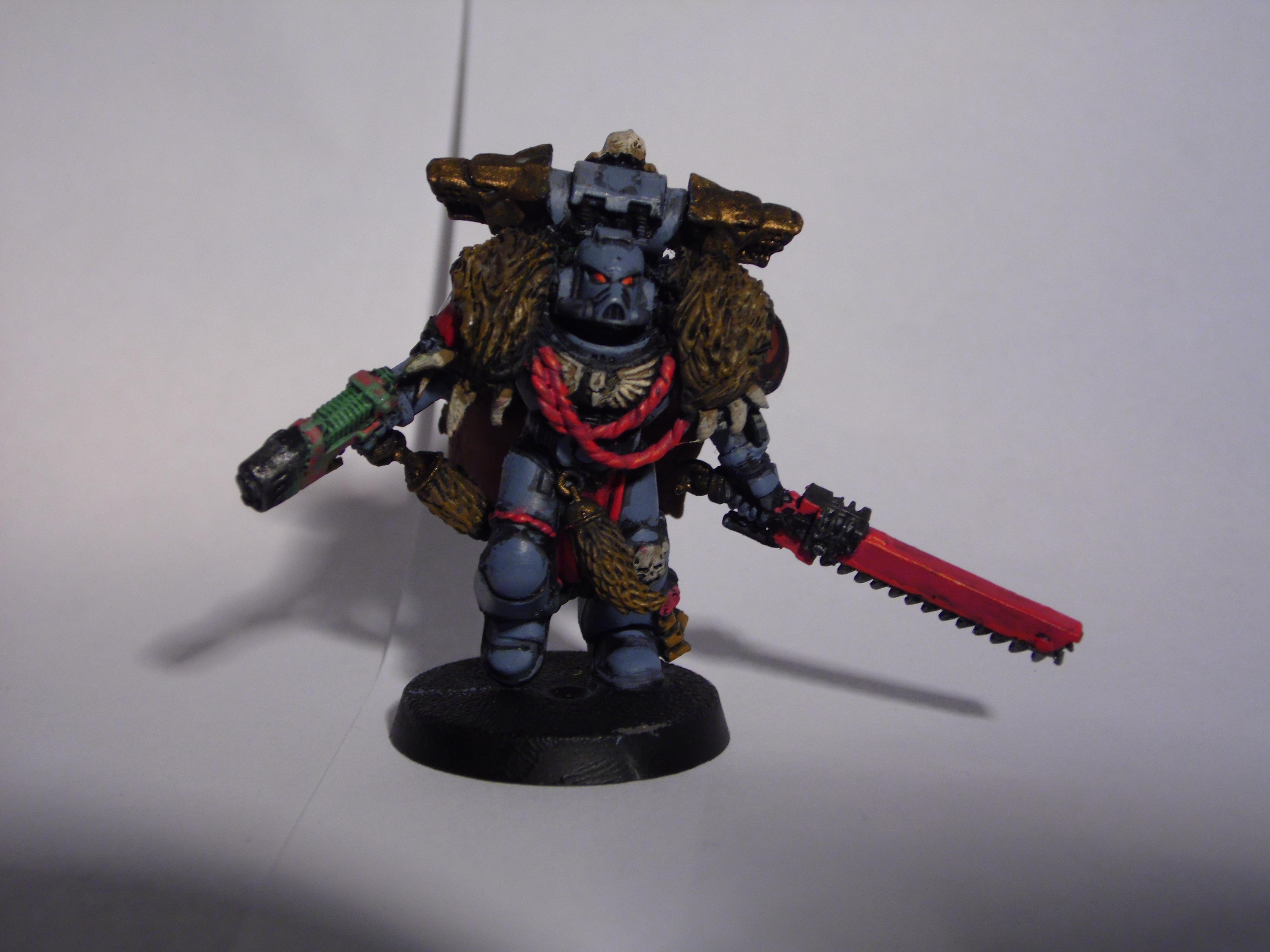 Grey Hunter, Space Wolves