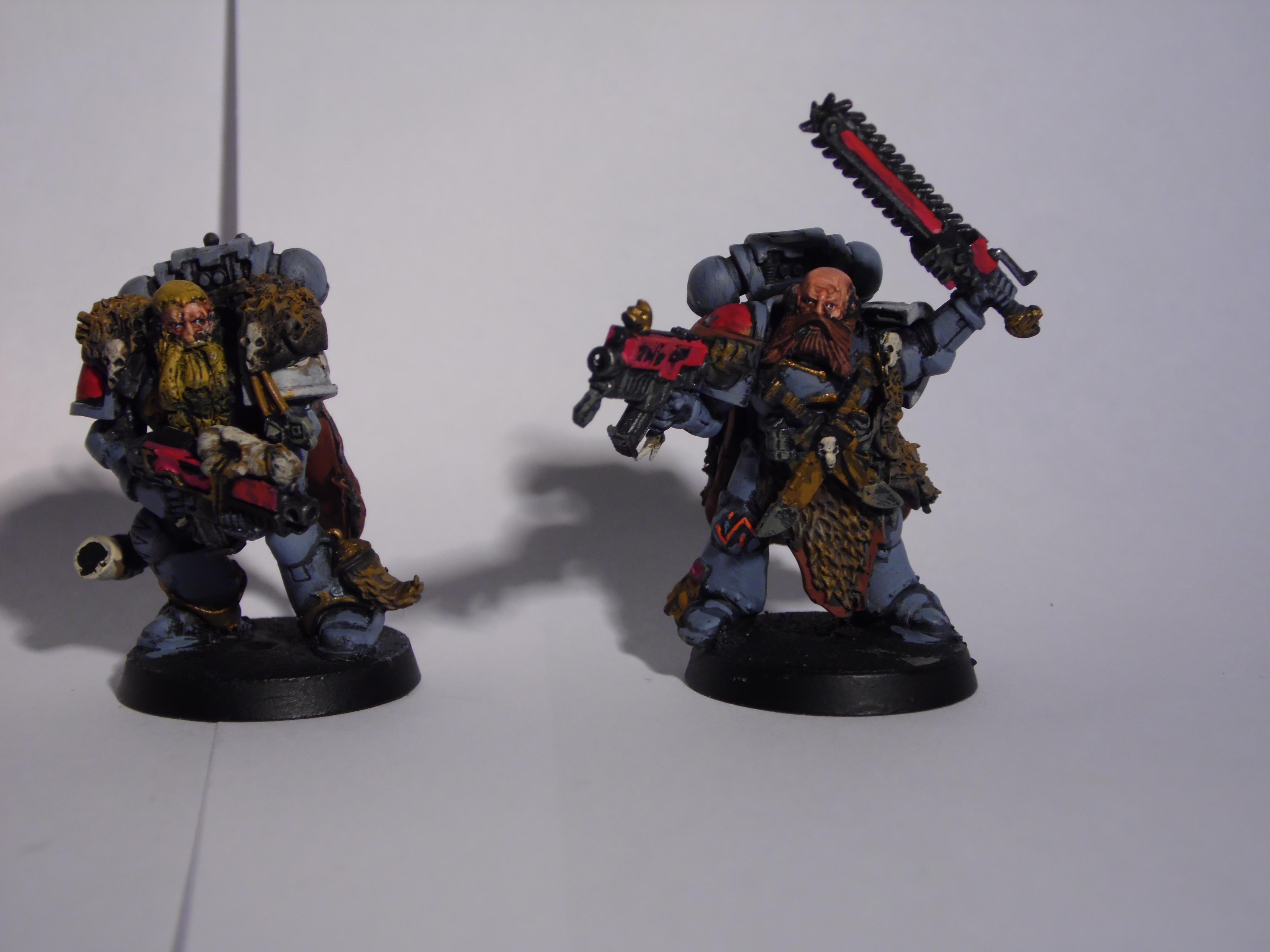 Grey Hunter, Space Wolves