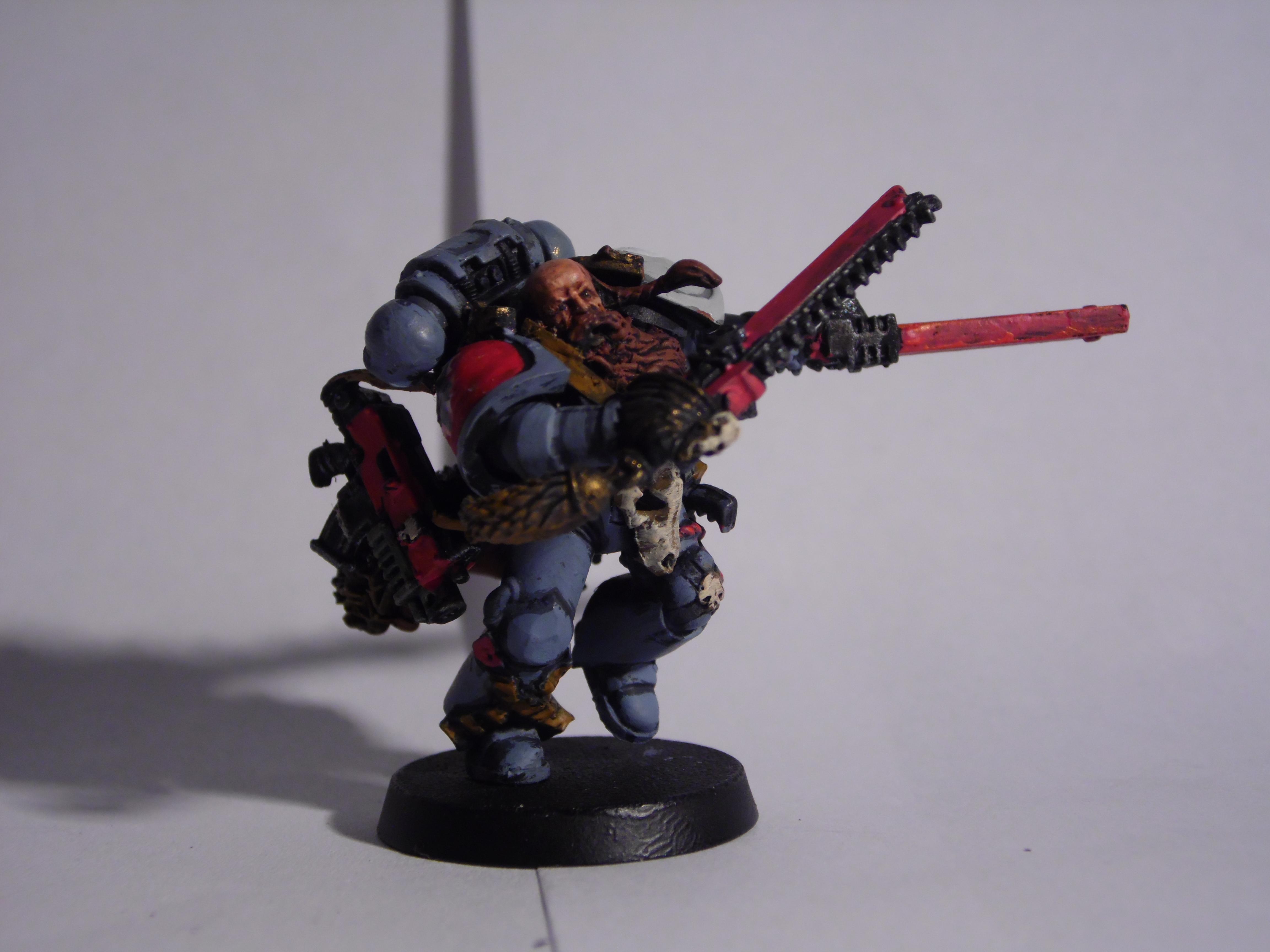 Grey Hunter, Space Wolves