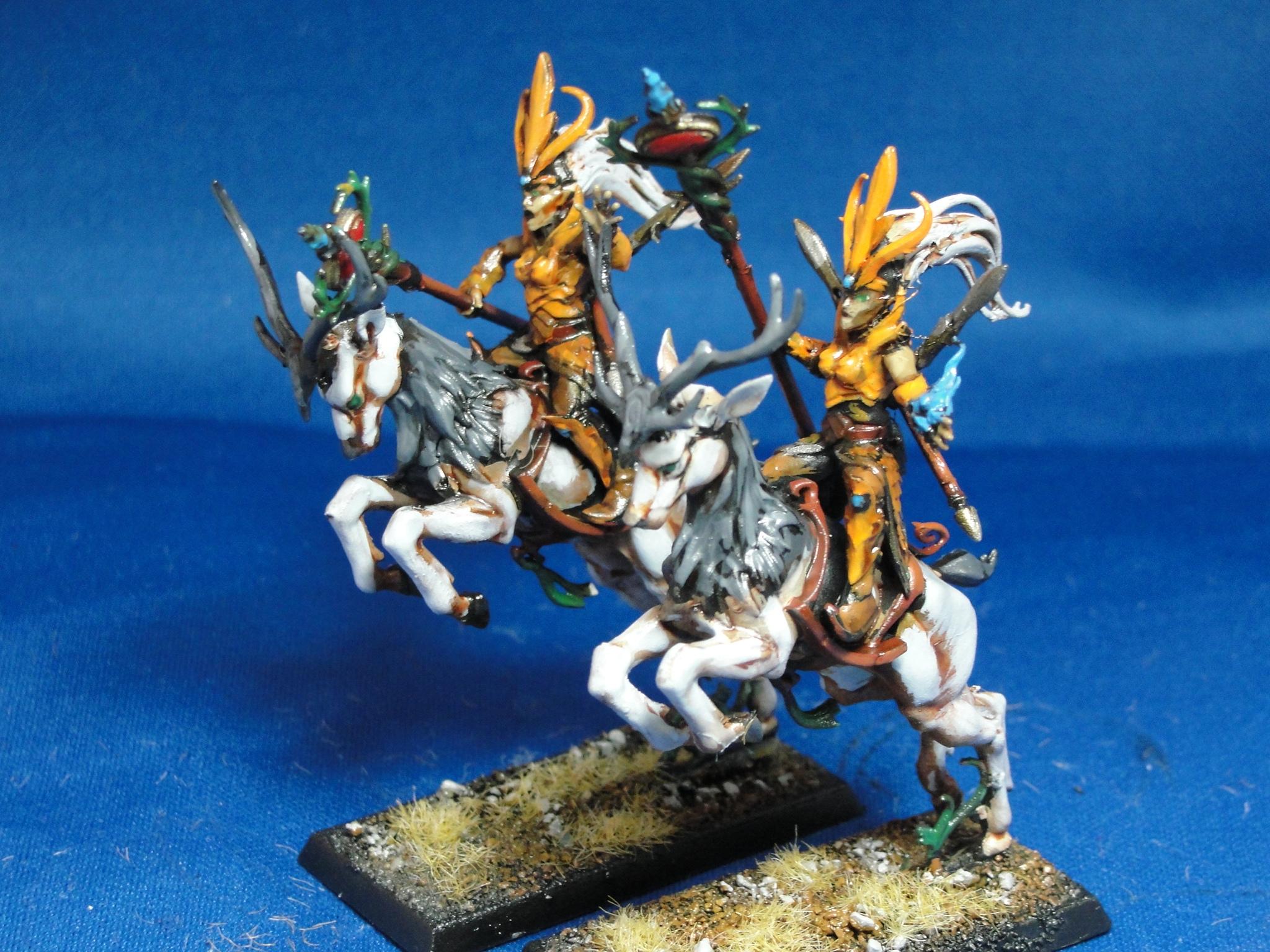 Warhammer Fantasy, Wood Elves, Sisters of the Thorn