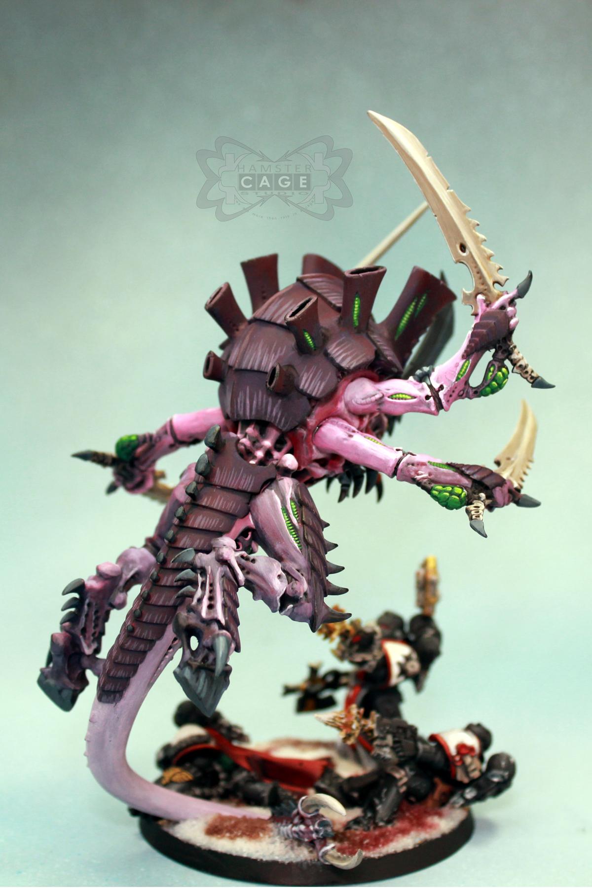 Black Templars, Tyranids
