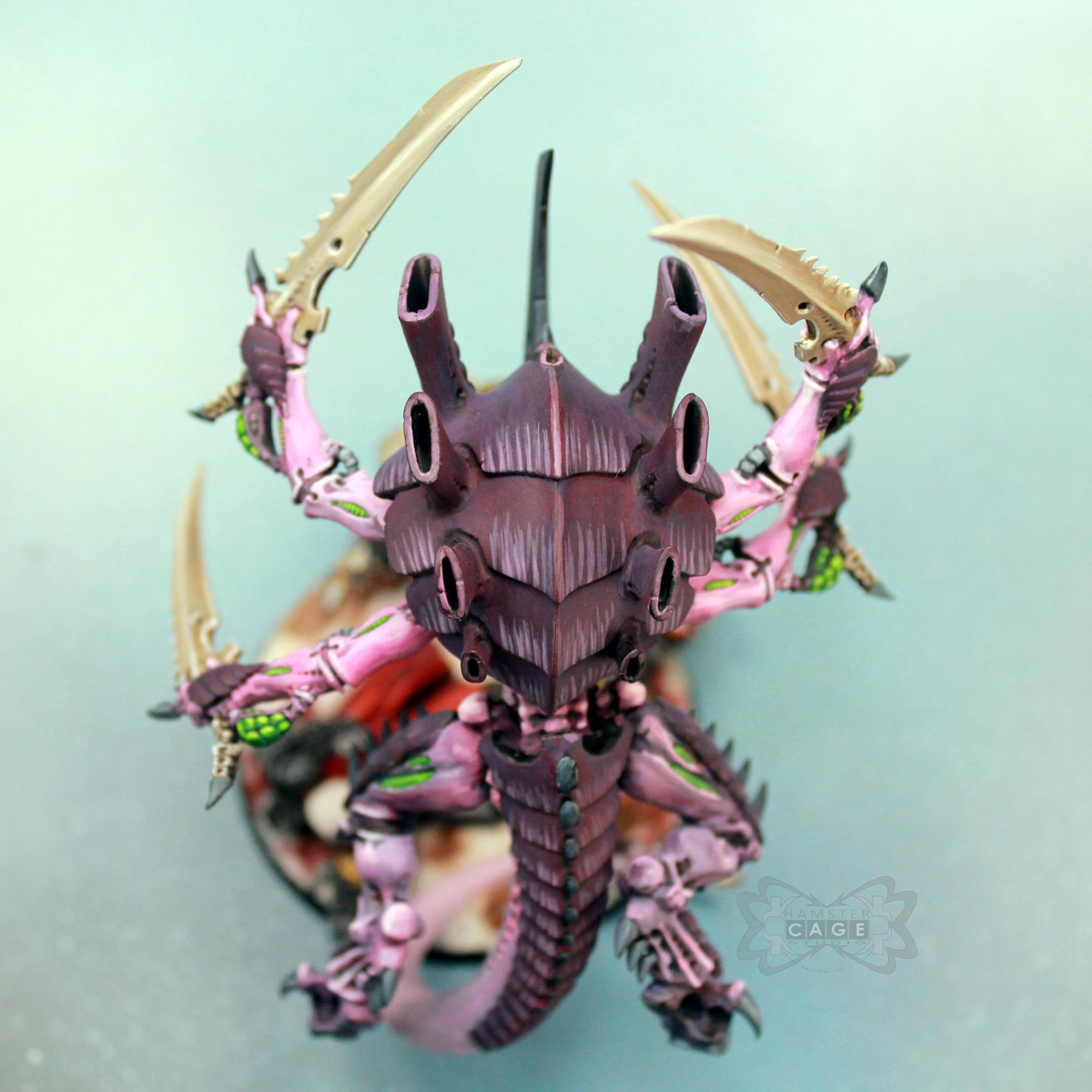Black Templars, Tyranids