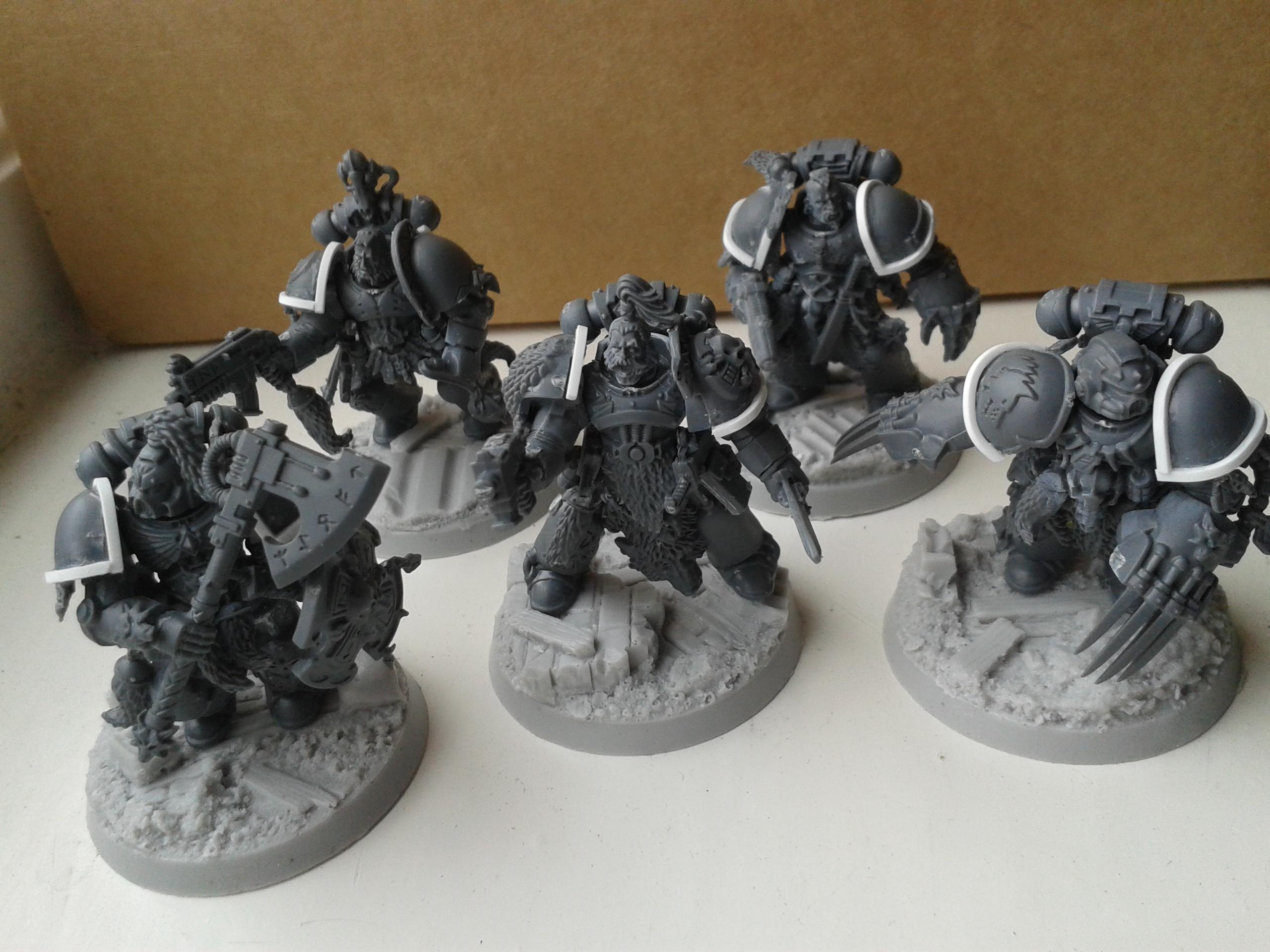 TS space wolf squad