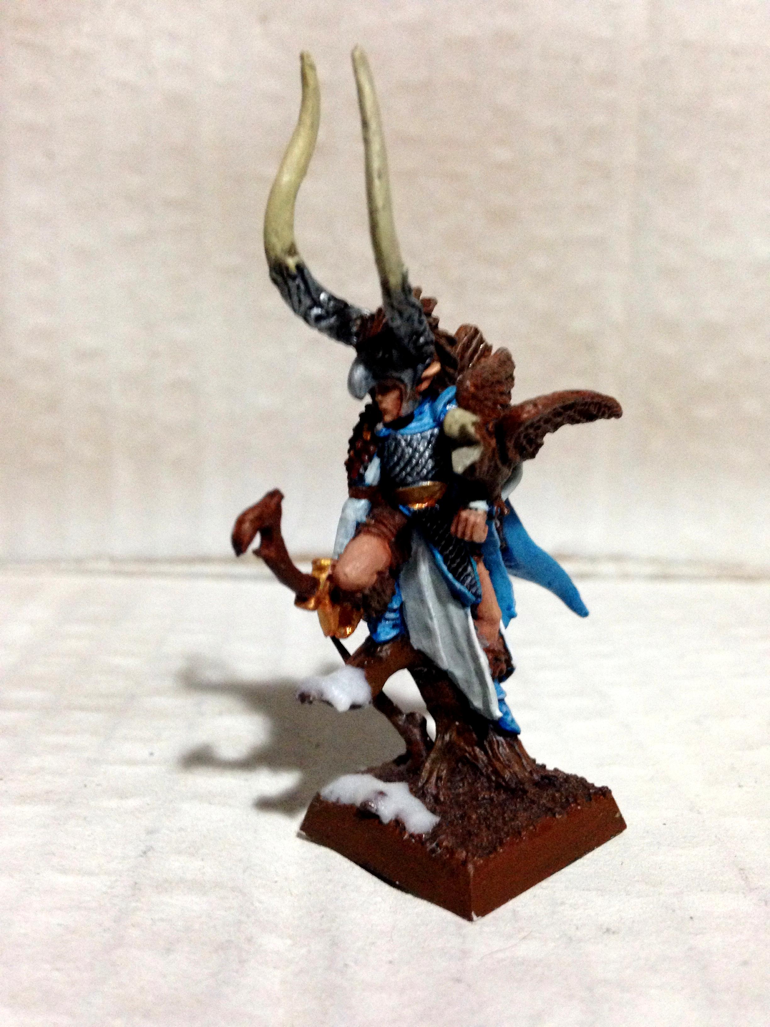 Wood Elf Captain
