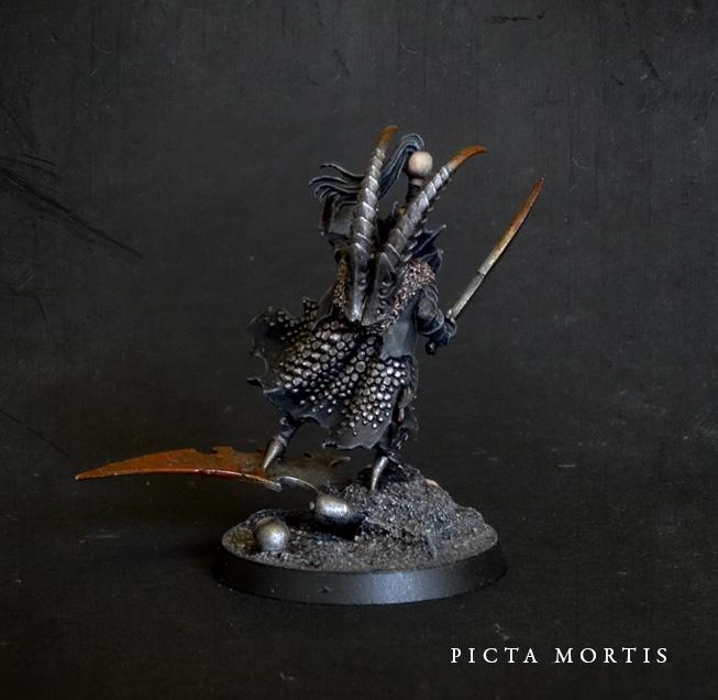 Dark Eldar Pirate Prince Back