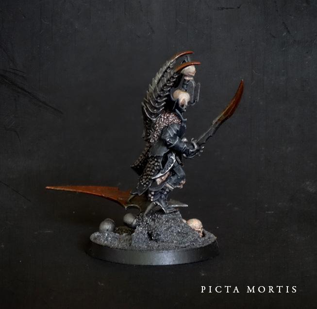 Dark Eldar, Dark Eldar Pirate Prince Side