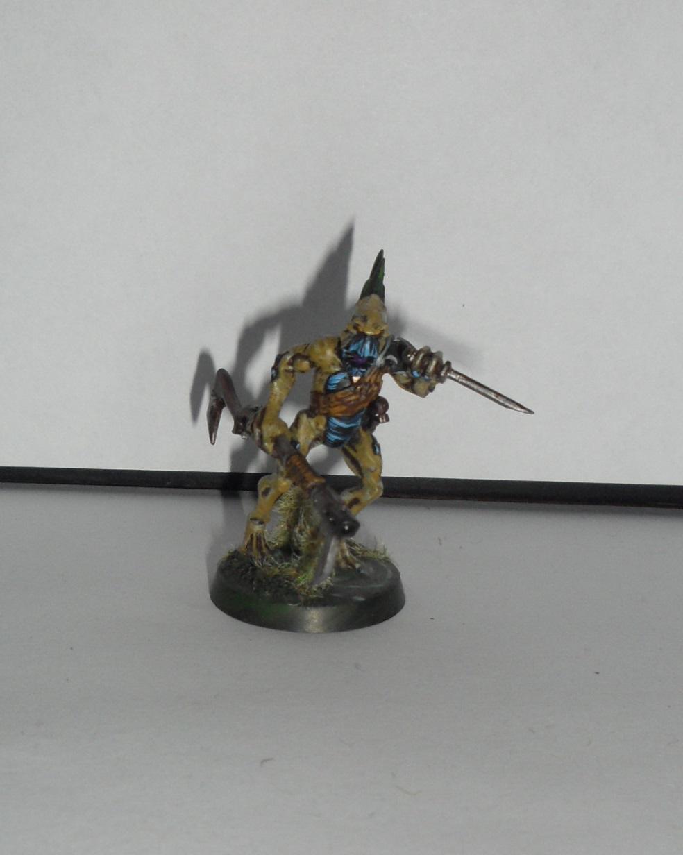 Kroot, Tau, Kroot 01