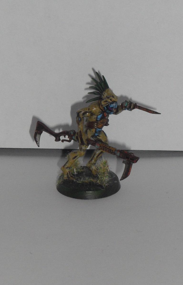 Kroot, Tau, Kroot 04