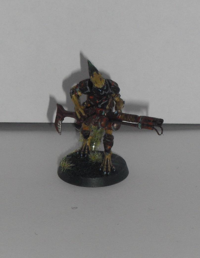 Kroot, Tau, Kroot 05