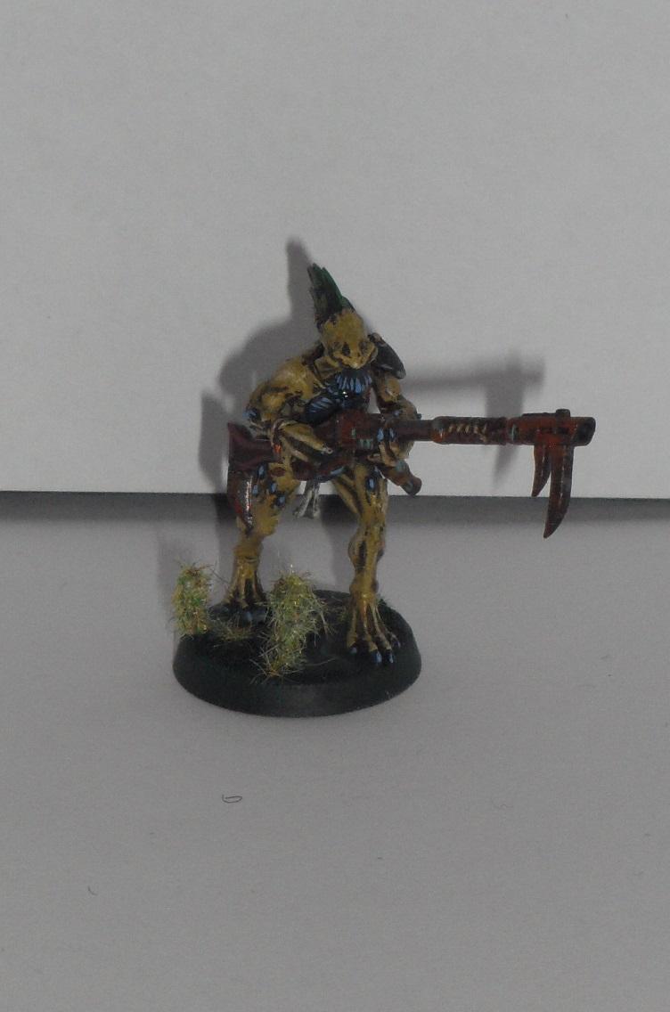 Kroot, Tau, Kroot 06 - Kroot 06 - Gallery - DakkaDakka