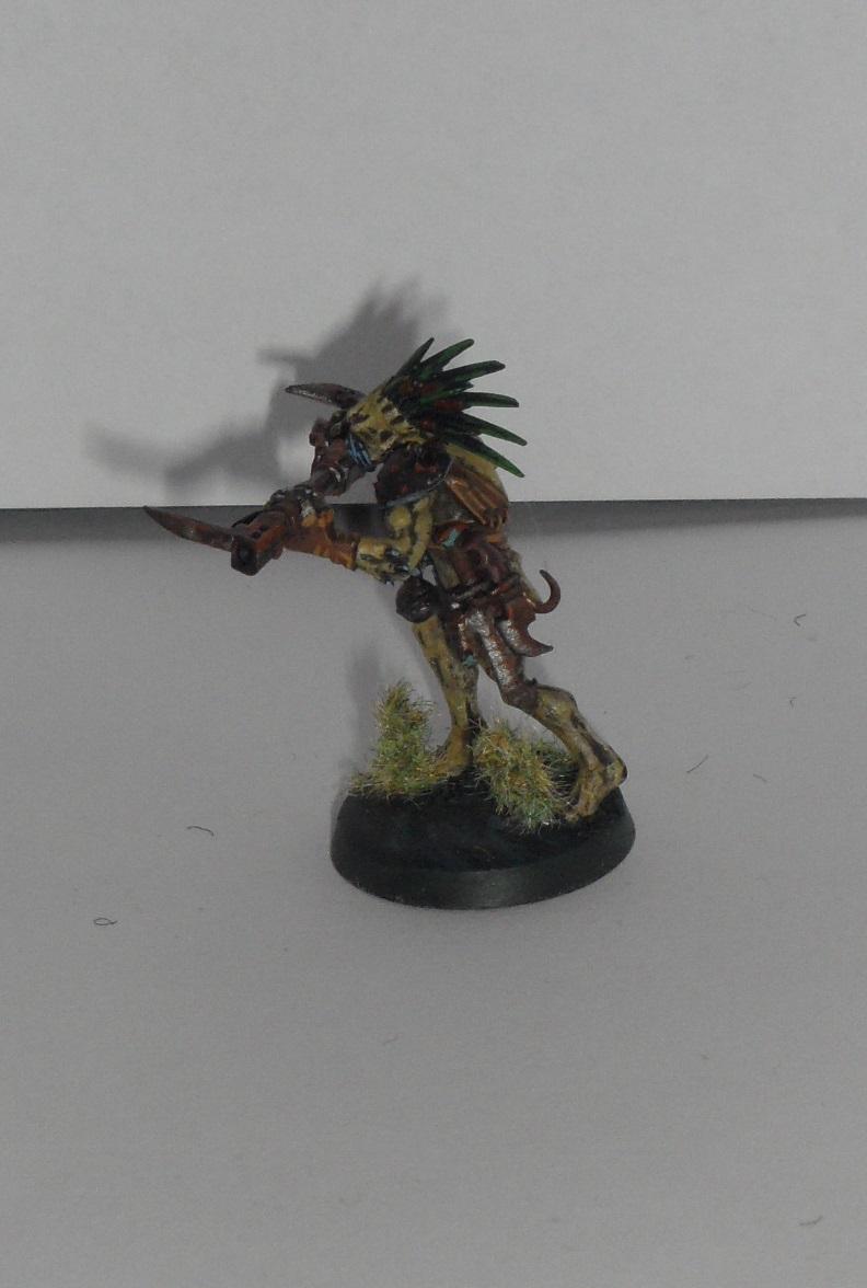 Kroot, Tau, Kroot 10