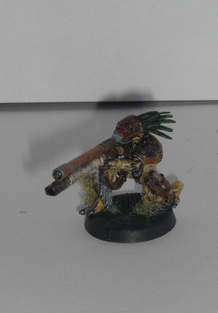 Kroot, Tau, Kroot 12