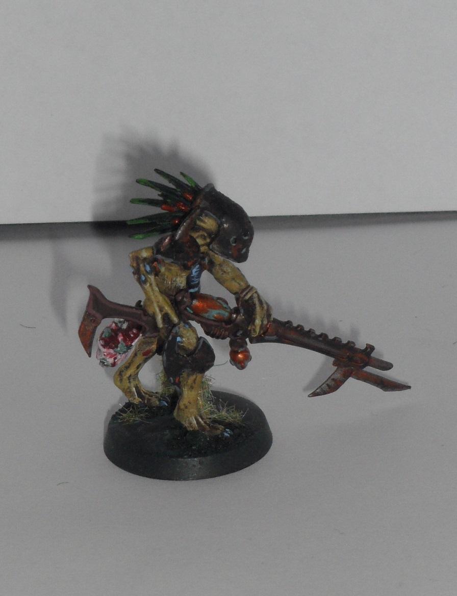 Kroot, Tau, Kroot 13