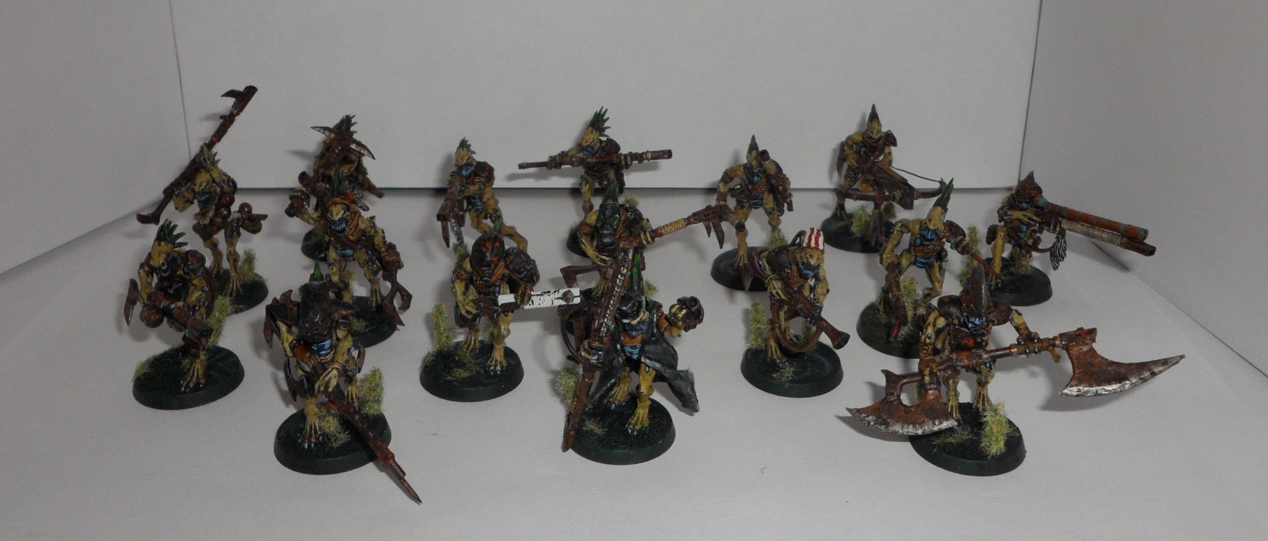 Kroot, Tau, Kroot Warband
