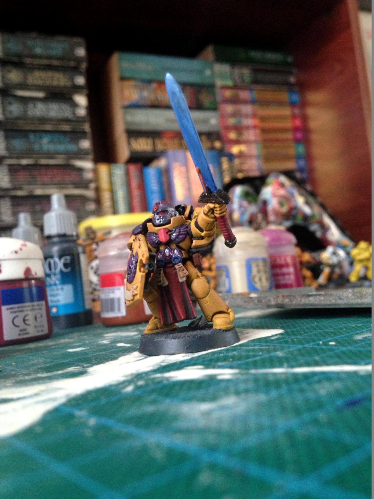 Company Champion, Imperial Fists