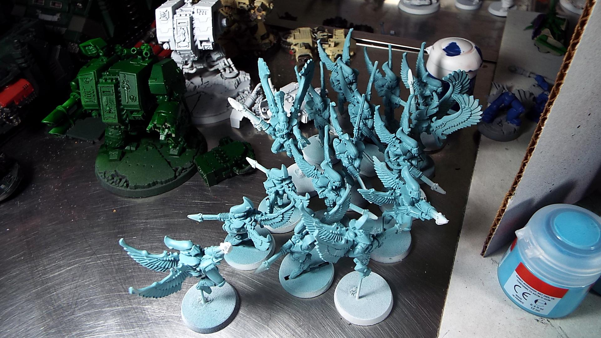 Swooping Hawks, Swooping Hawks