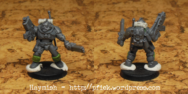 Conversion, Homebrew Chapter, Space Wolves, Wolf Scouts, Work In Progress