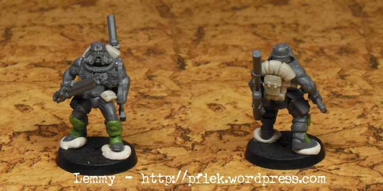 Conversion, Homebrew Chapter, Space Wolves, Wolf Scouts, Work In Progress