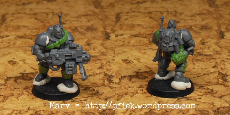 Conversion, Homebrew Chapter, Space Wolves, Wolf Scouts, Work In Progress