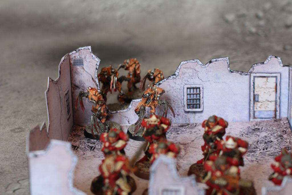 Flayed Ones, Meltagun, Necrons, Sisters Of Battle