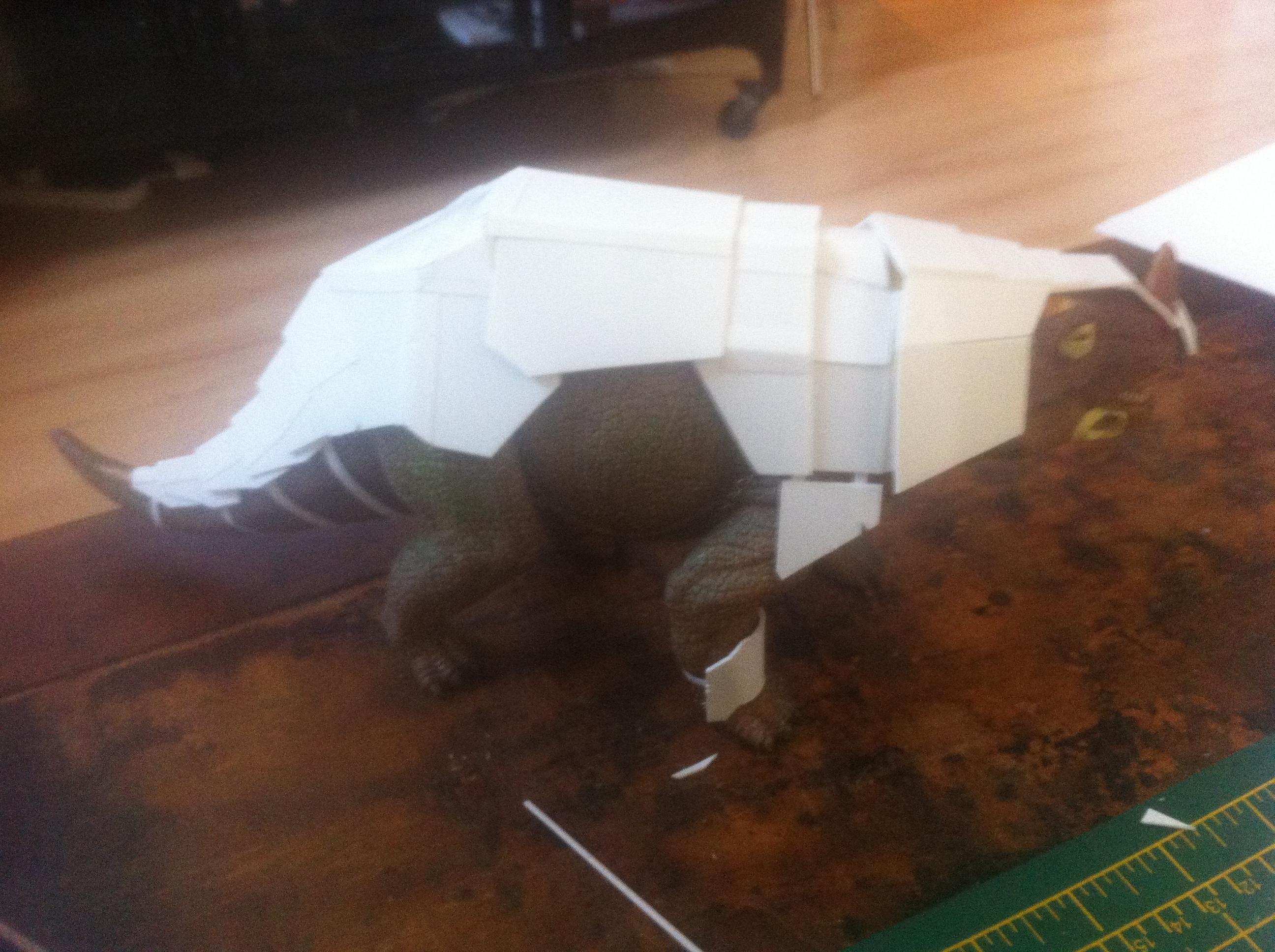 wip6