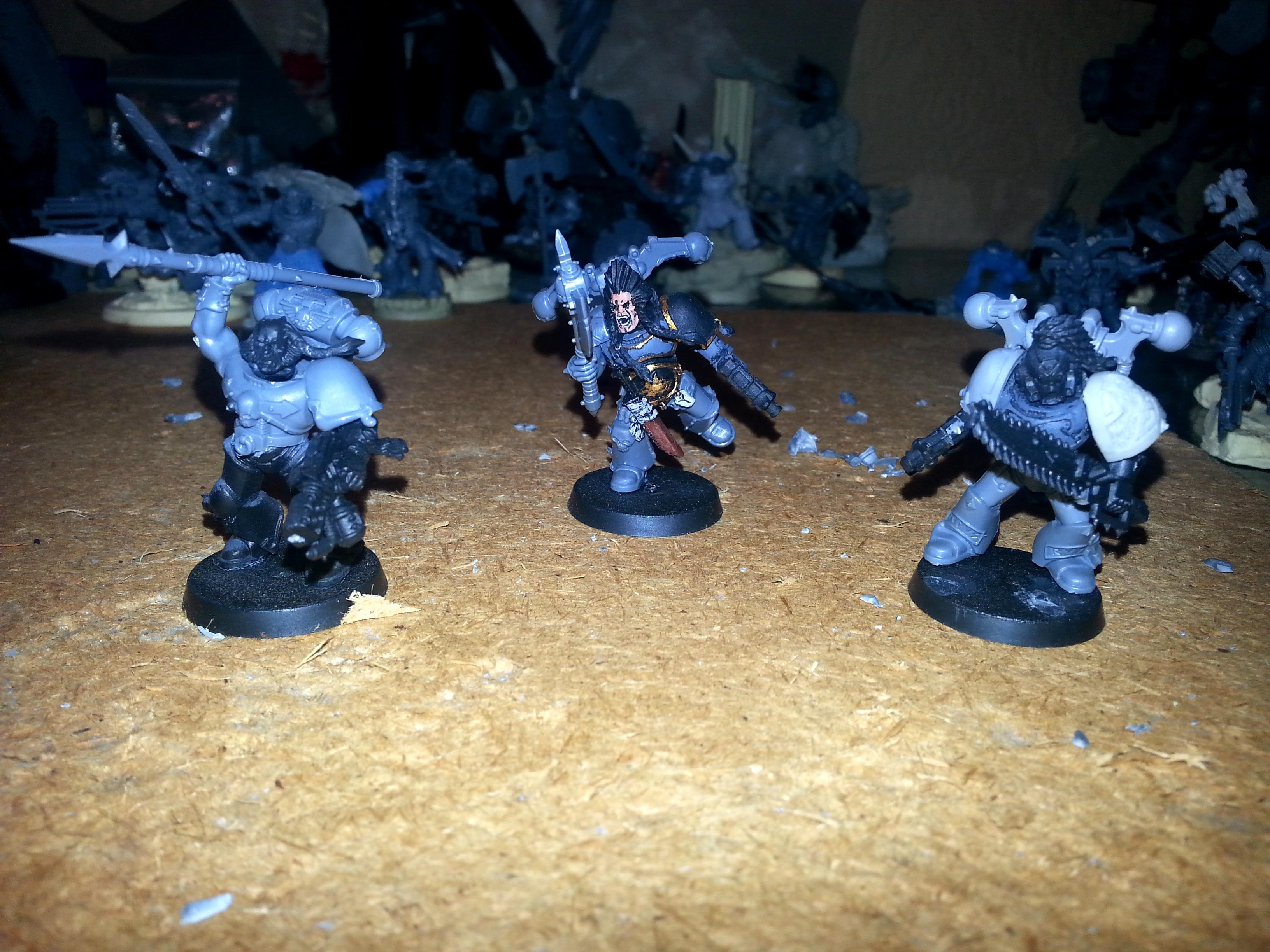 Space Wolves, Vlka Fenryka