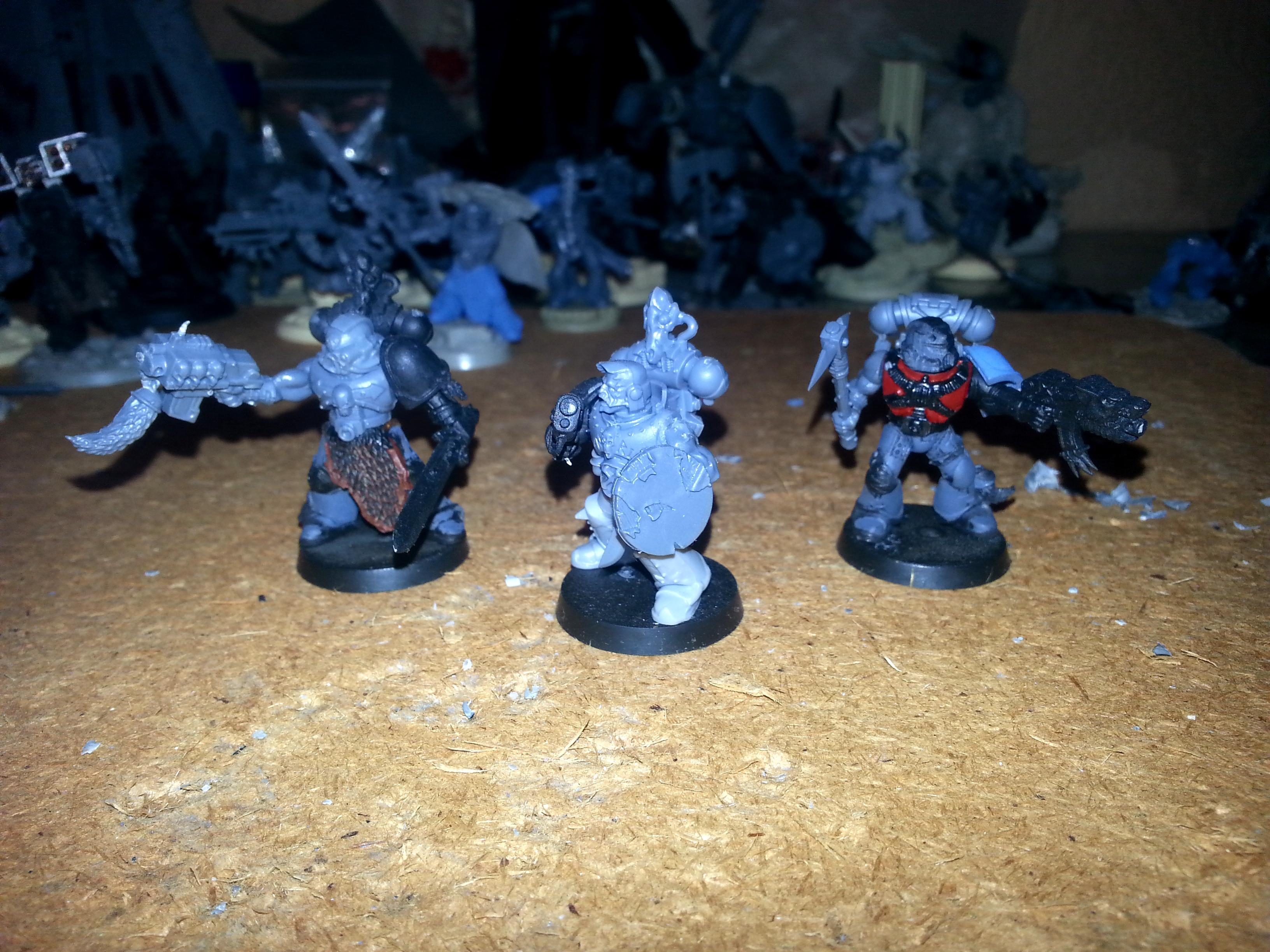Space Wolves, Vlka Fenryka