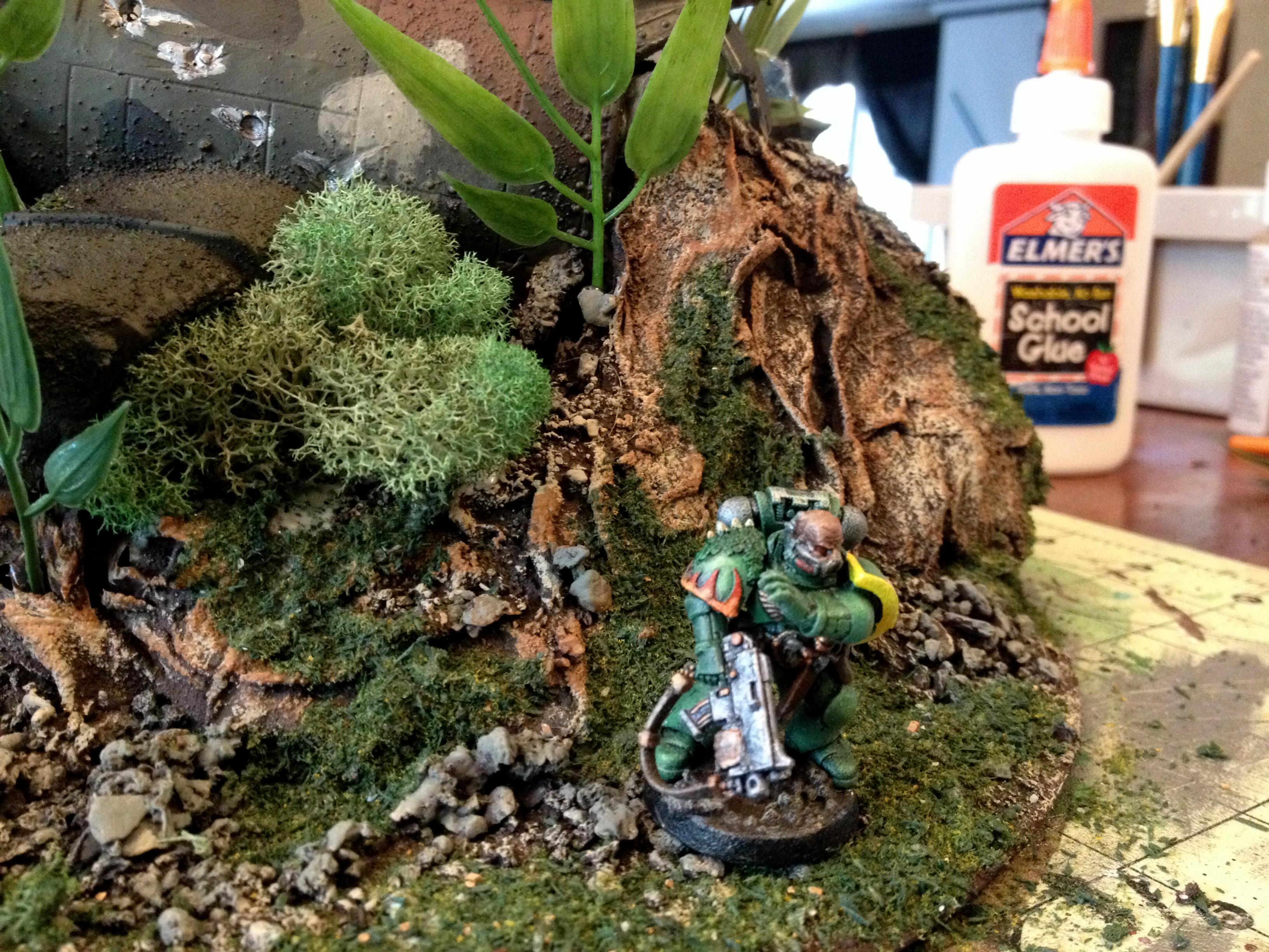 Salamanders, Work In Progress