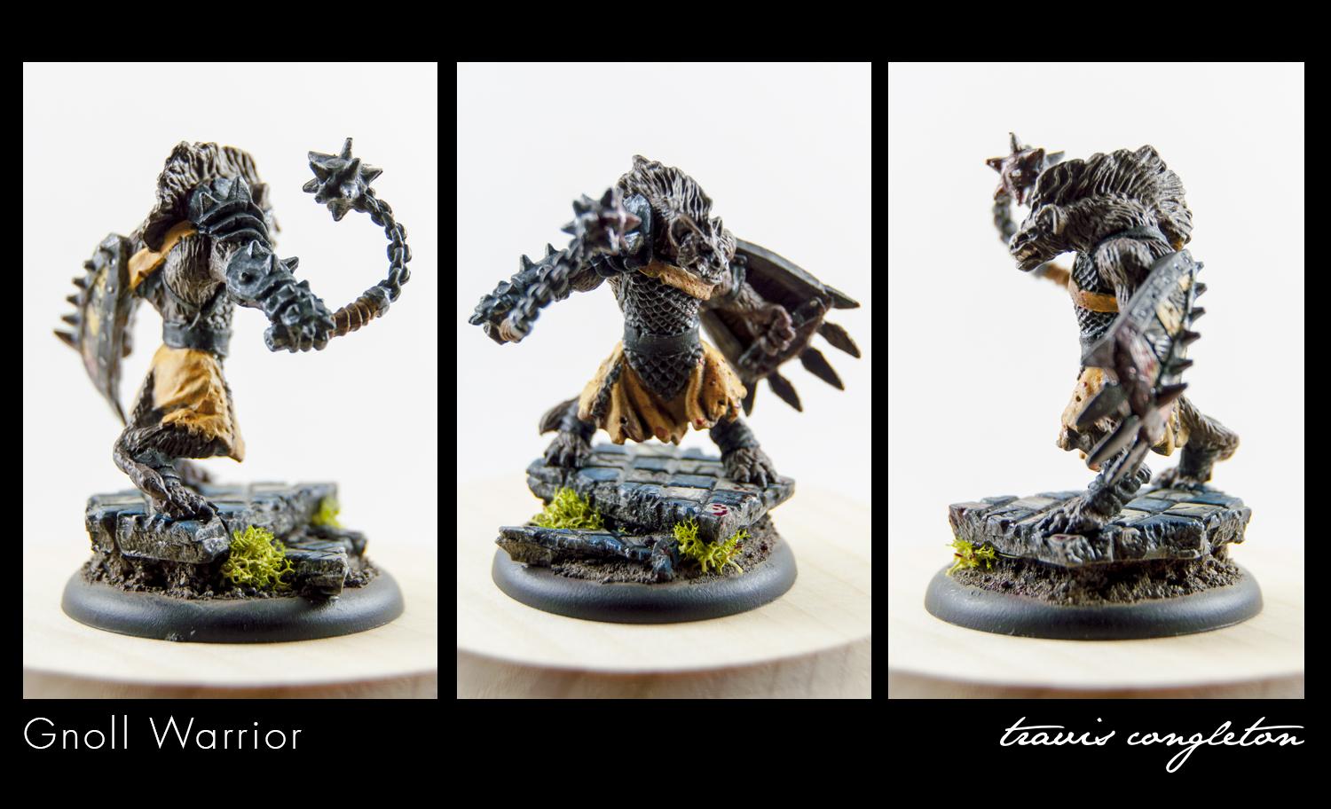 Bones, Congleton, Gnoll, Mini, Reaper, Travis, Warriors