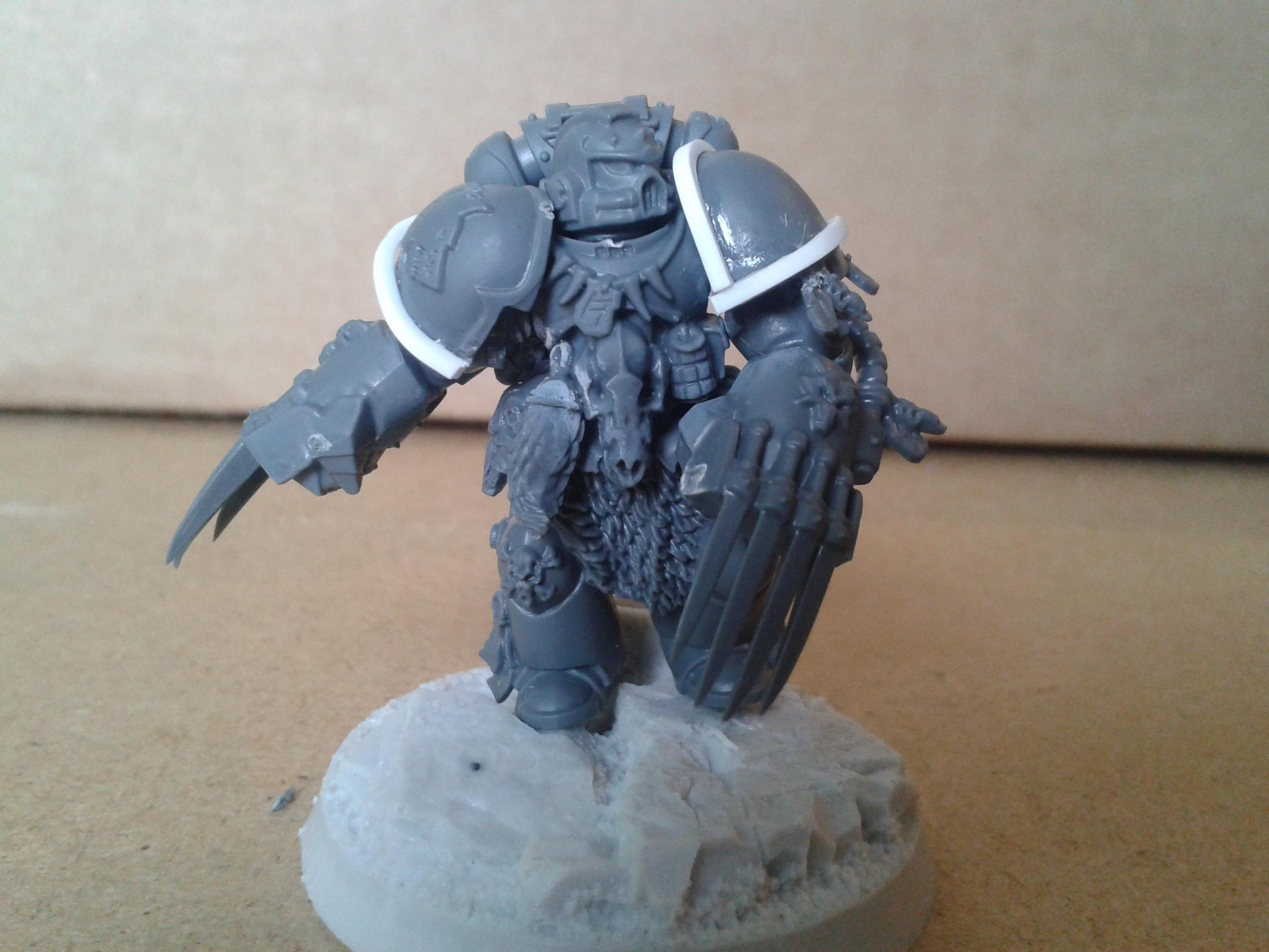 TS space wolf
