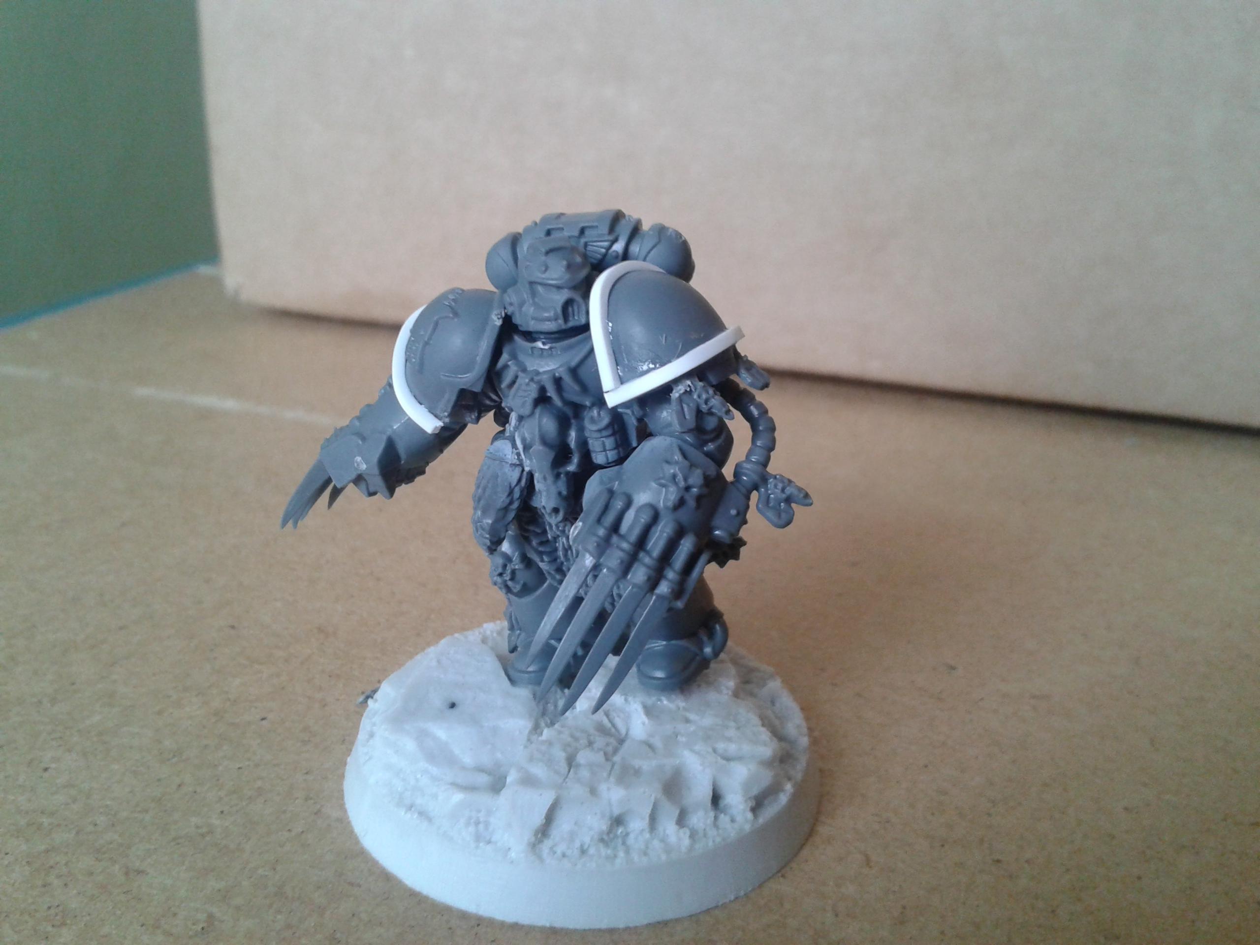 TS space wolf